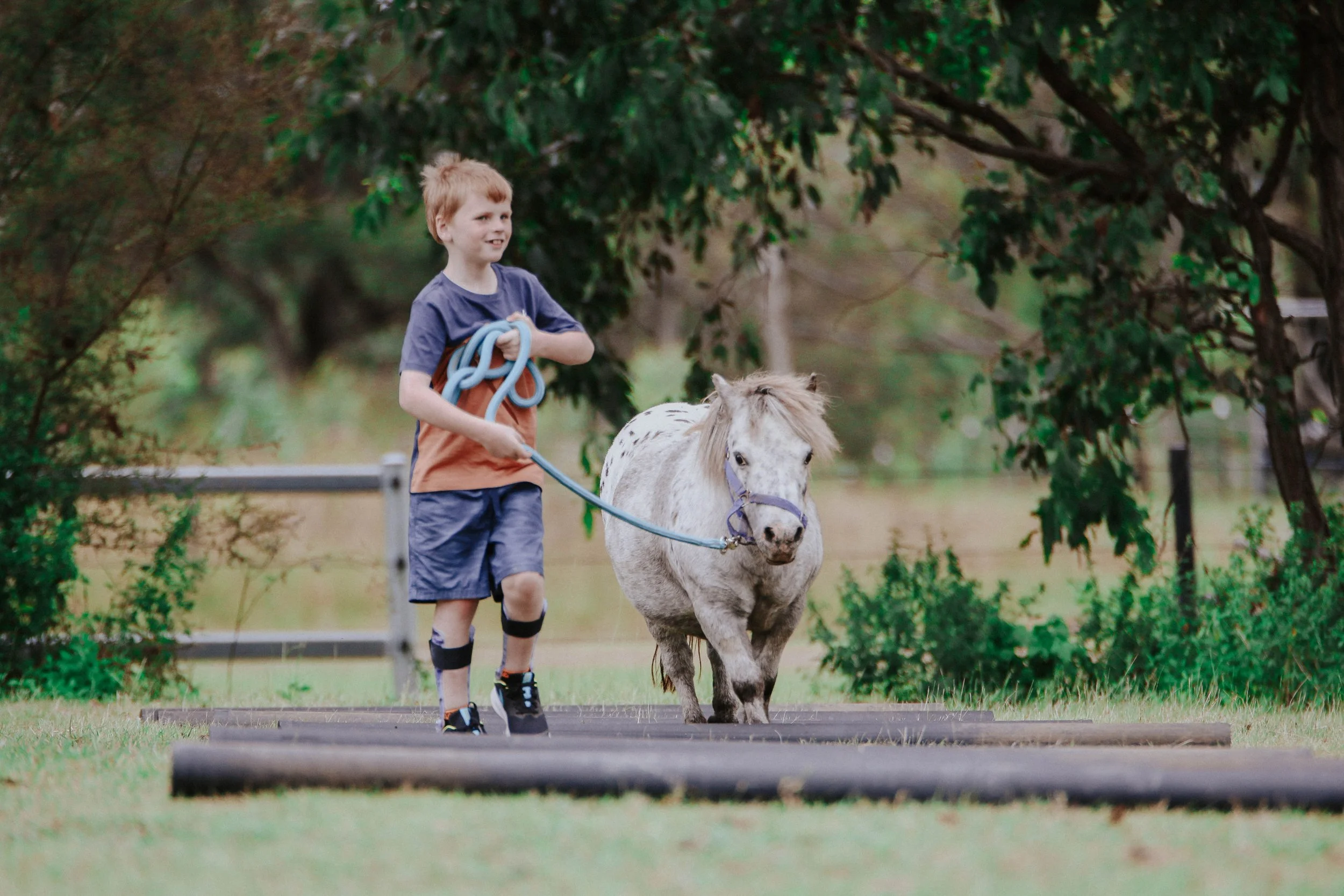 A young boy with red hair, wearing a blue and brown t-shirt, shorts, and sneakers, is leading a small white and gray pony by a blue lead rope in an outdoor setting with trees and green grass.