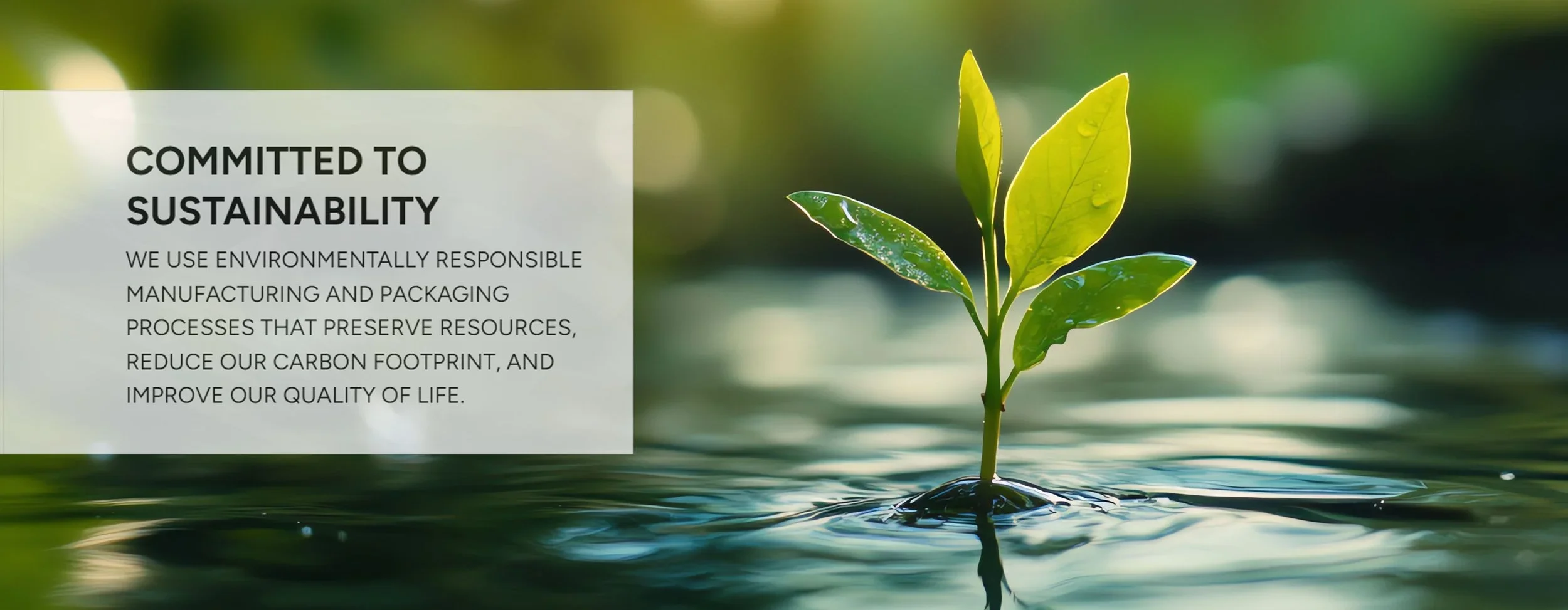 Web Banner (Petoskey Plastics Home Page)