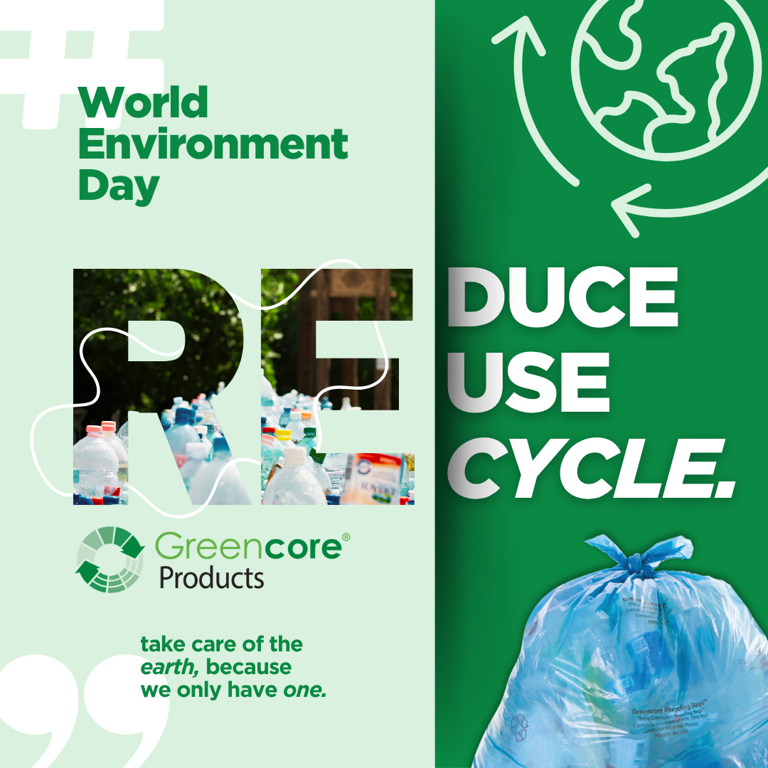 World Environment Day 2025.png