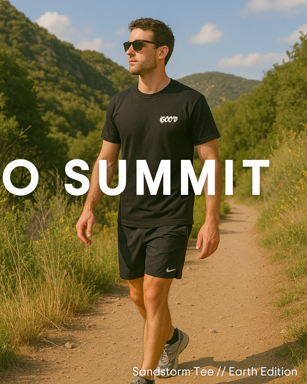 Streettosummit2.png