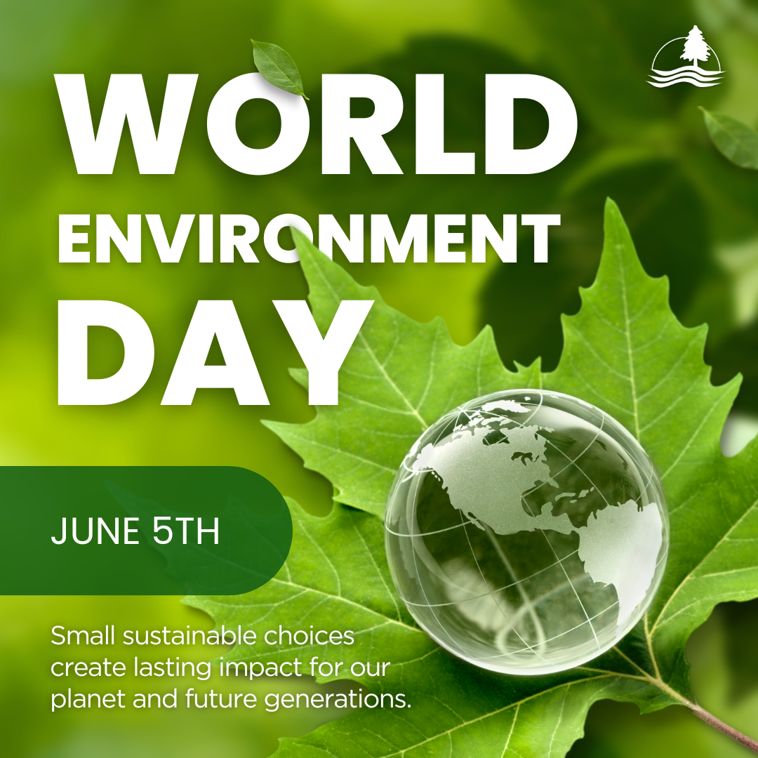 World Environment Day 2026_PP.png