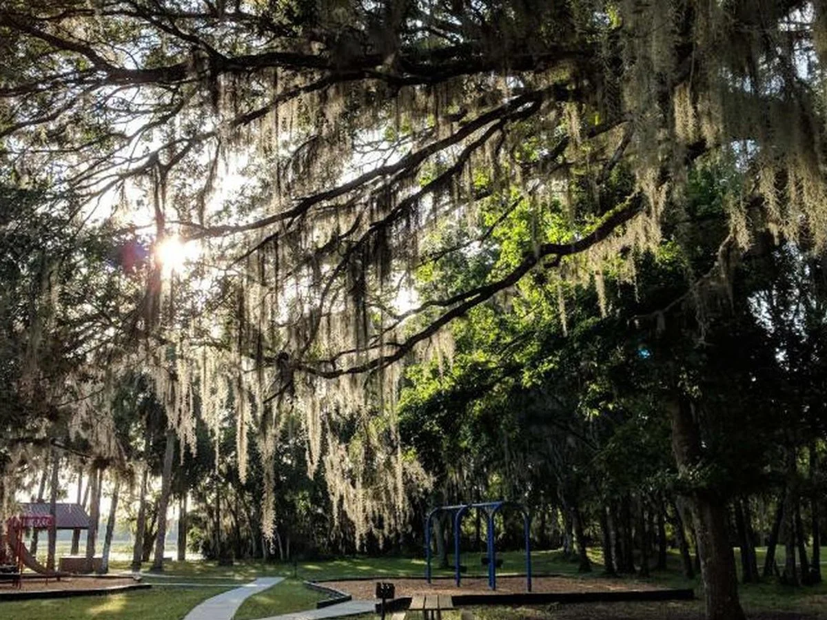 Playground at Hontoon Island State Park, accessible by boat from Highland Park Fish Camp.