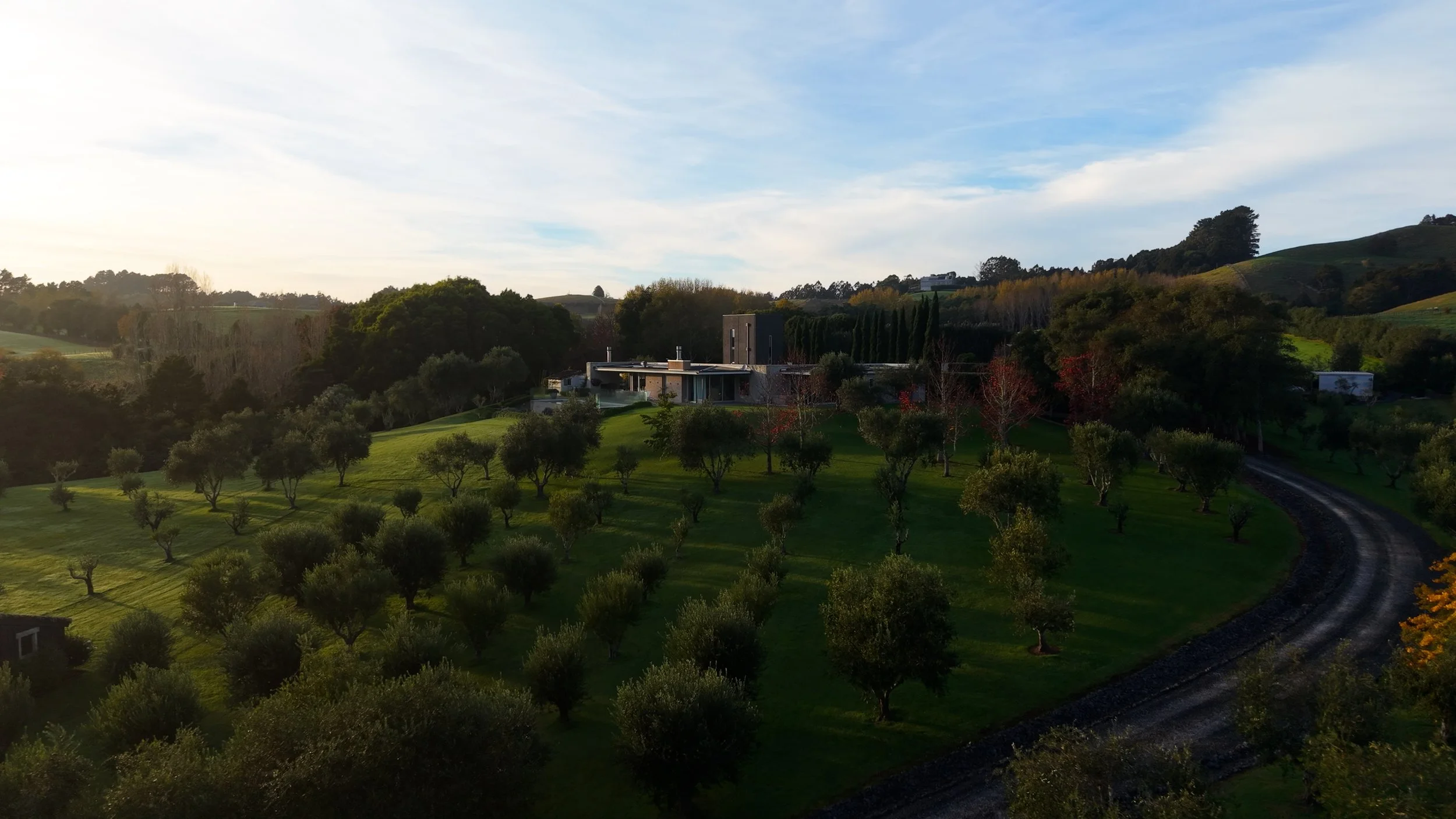 Aerial view of 53 Duck Creek Road, Matakana Coast — architecturally designed lifestyle estate by David Ponting, surrounded by established olive groves, orchards and rolling Northland countryside at golden hour