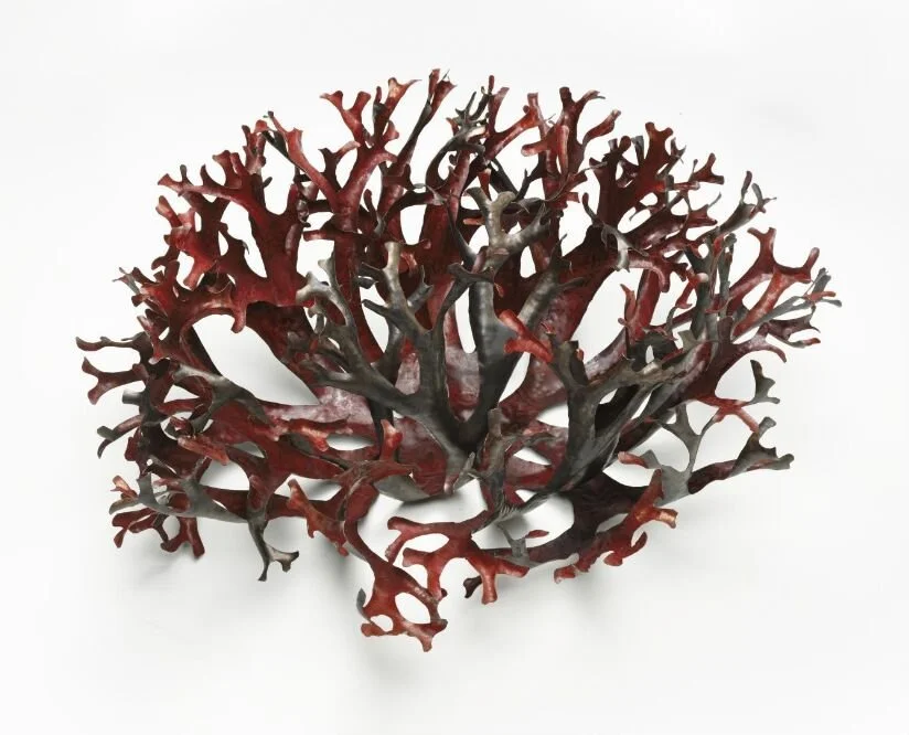 Utstilling: Aron Irving Lie