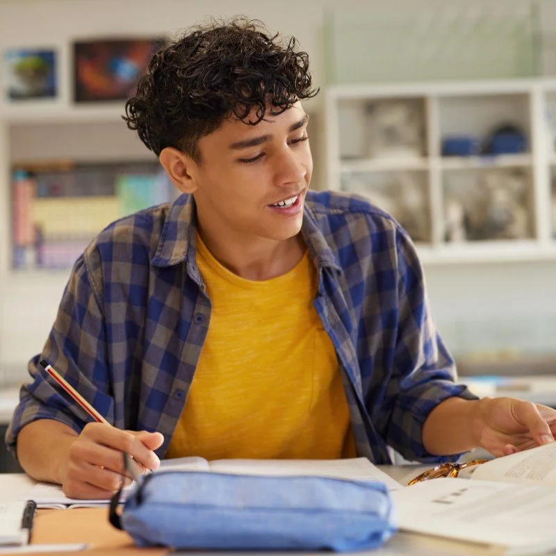 A teenage boy with curly hair sitting at a desk in a classroom, holding a pencil and looking at an open notebook, with books and a classroom setting in the background.