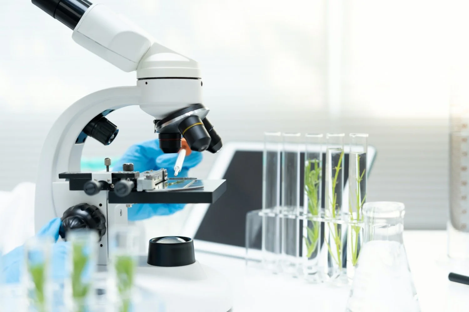 Microscope and test tubes with plants in a laboratory setting.