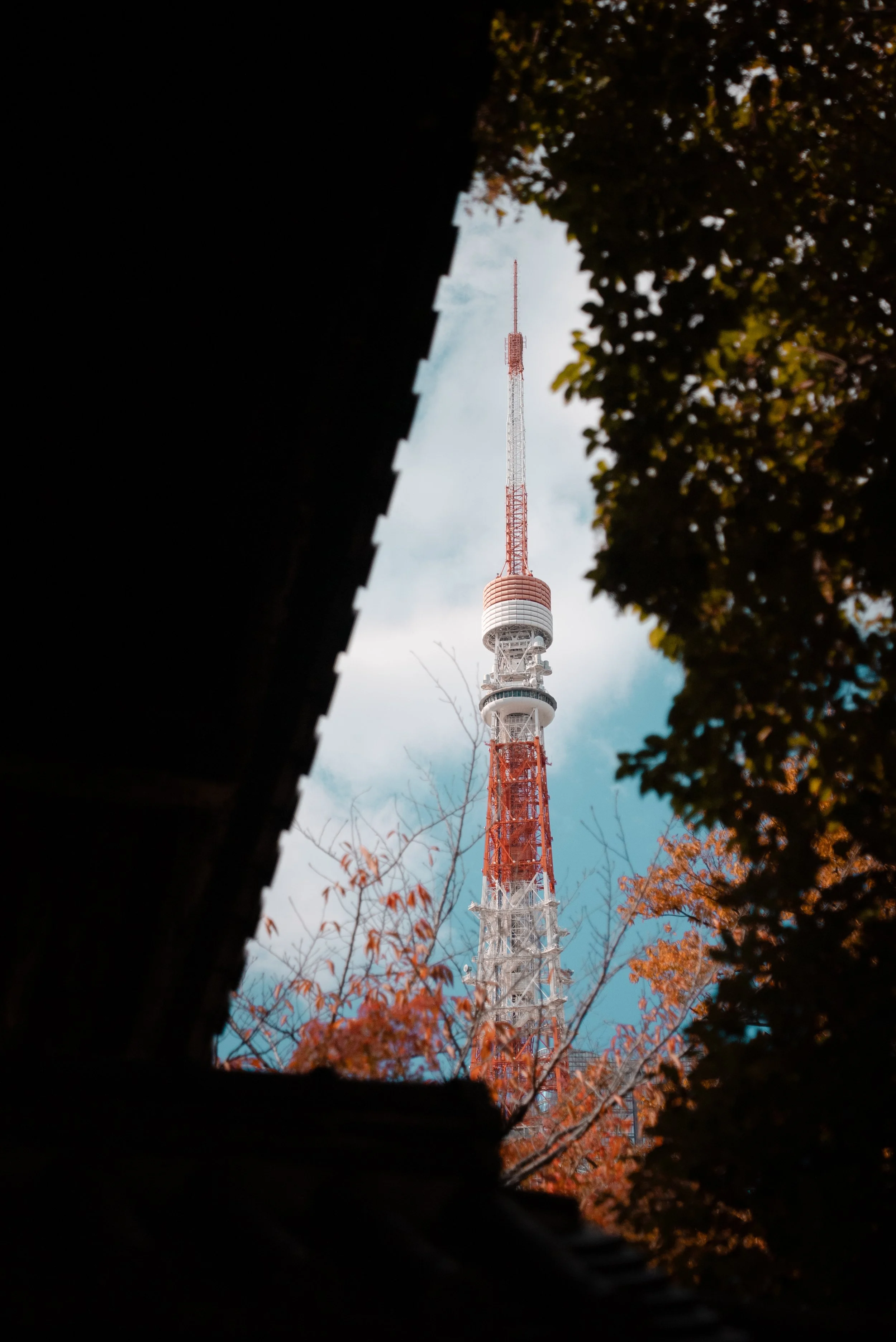 Tour de télévision vue au travers d'une ouverture, entourée d'arbres avec des feuilles oranges.