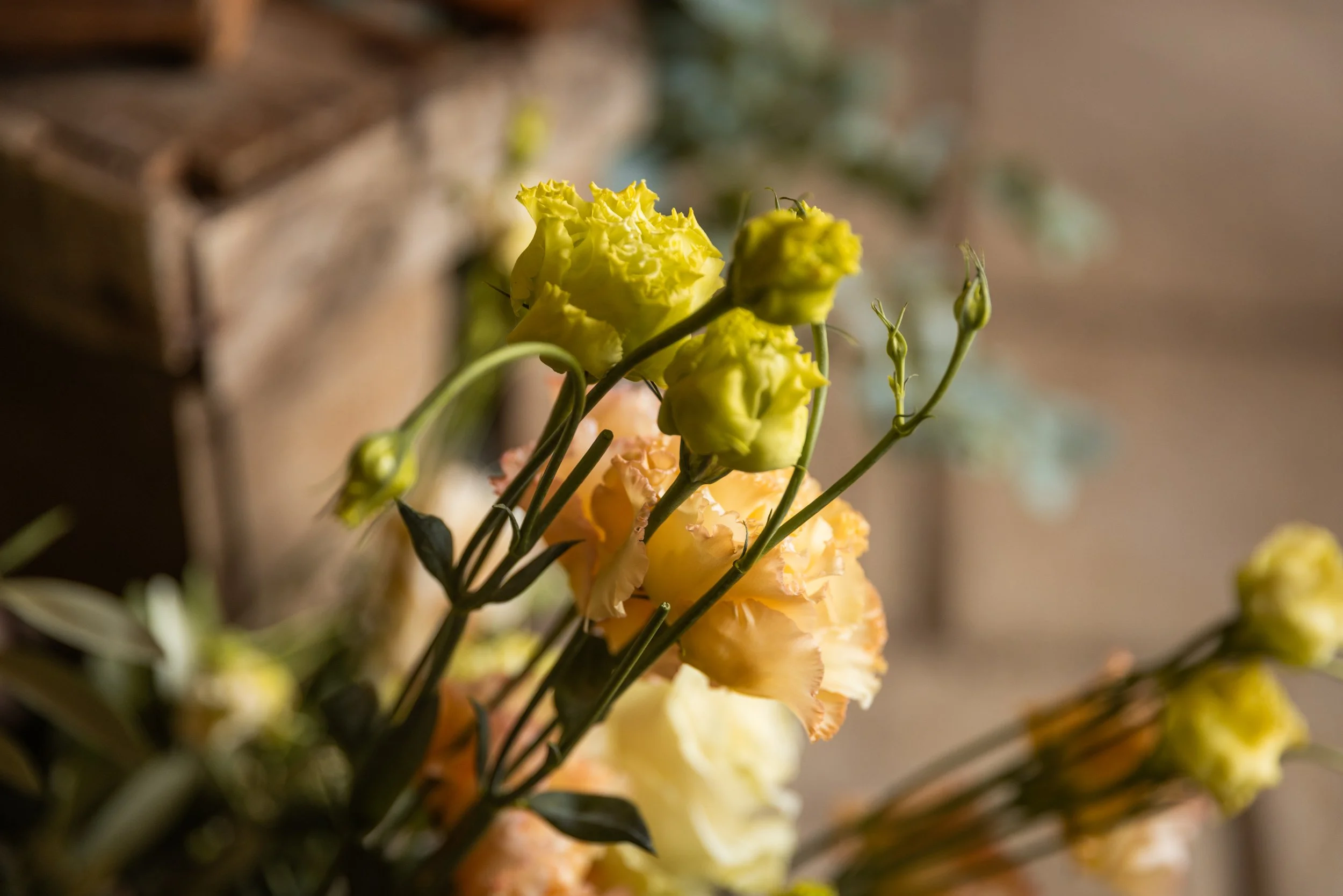 Fleurs jaunes et beige avec des tiges vertes dans un vase