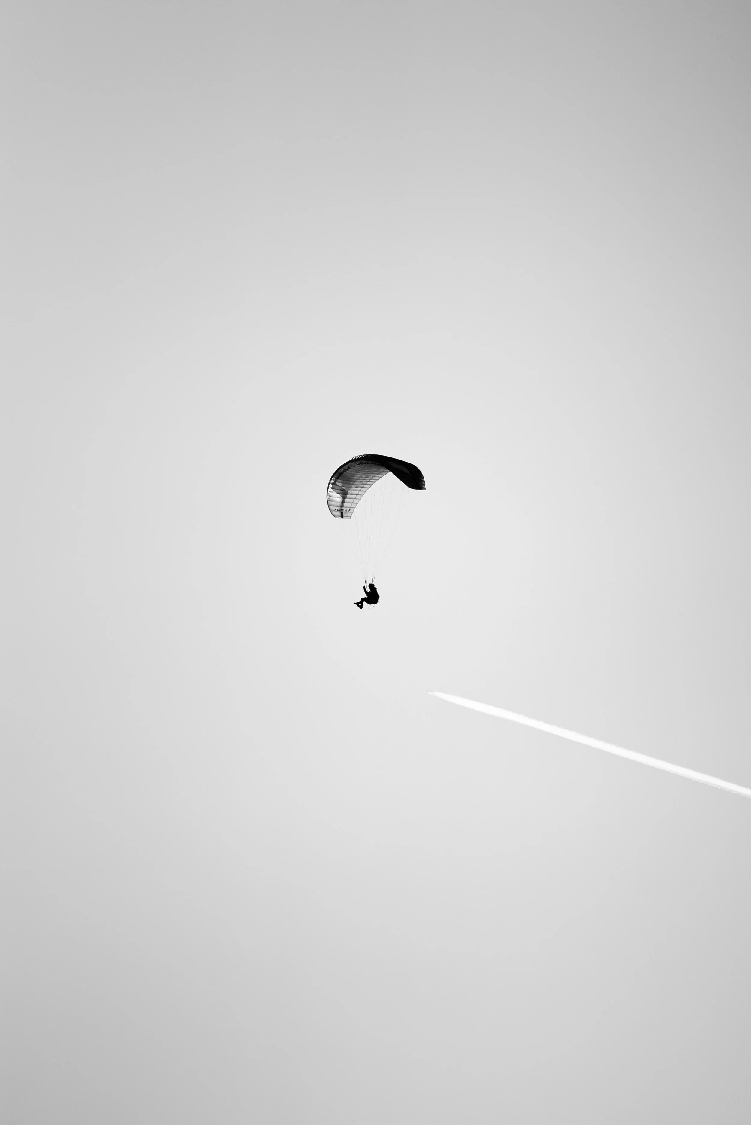 Testivol de Pelvoux 2026 - Léo THOMAS - 117.JPG