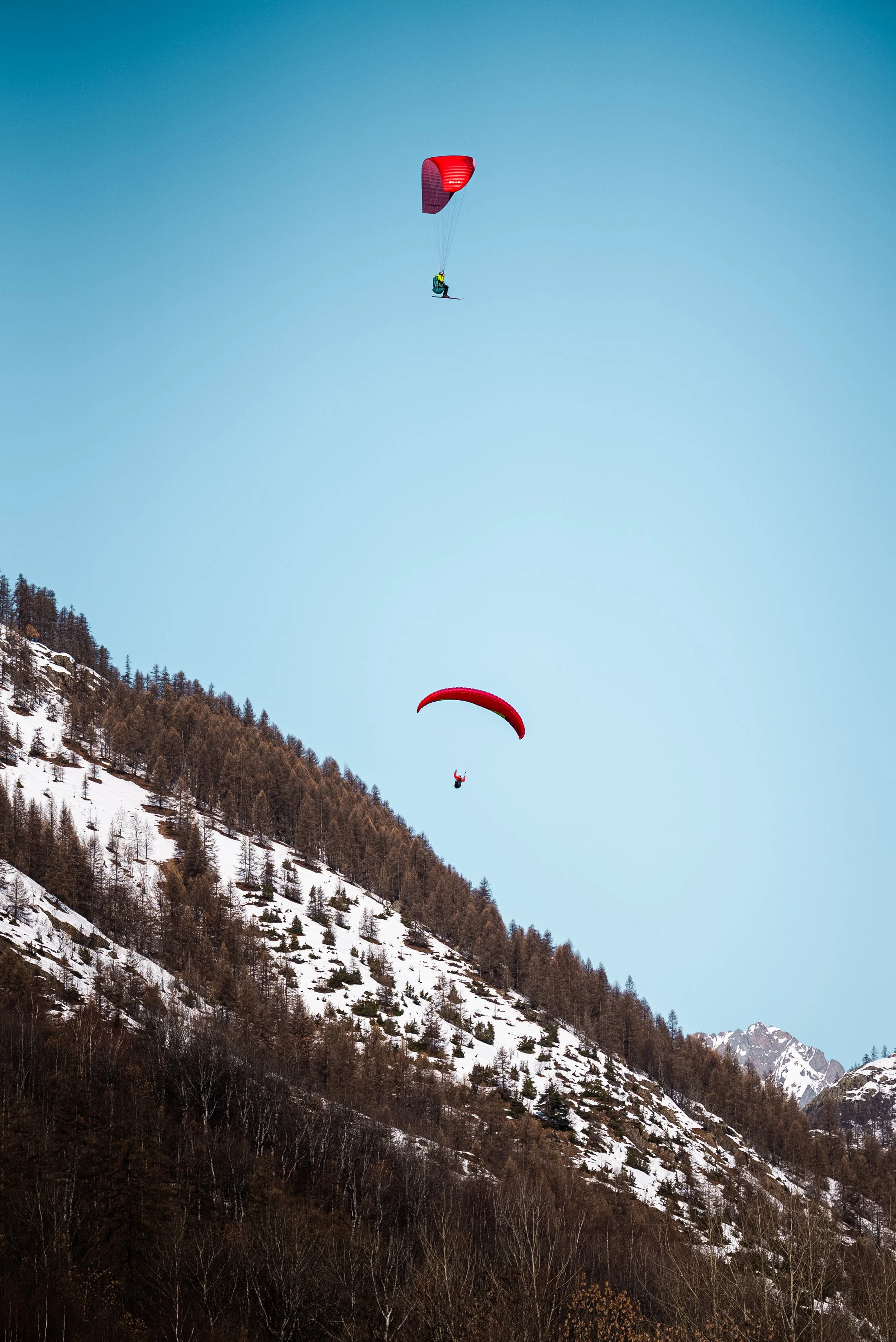 Testivol de Pelvoux 2026 - Léo THOMAS - 121.JPG