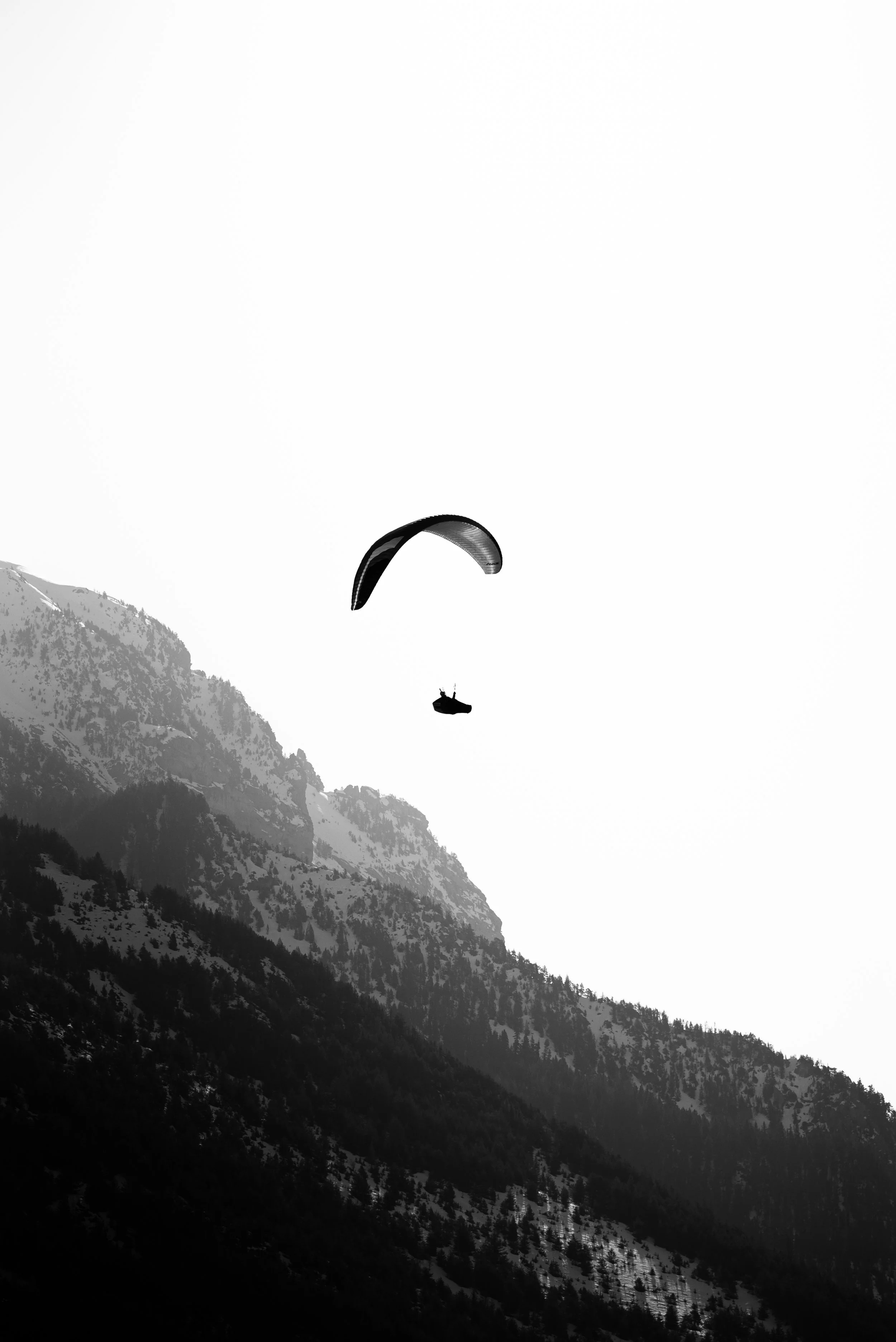 Testivol de Pelvoux 2026 - Léo THOMAS - 150.JPG