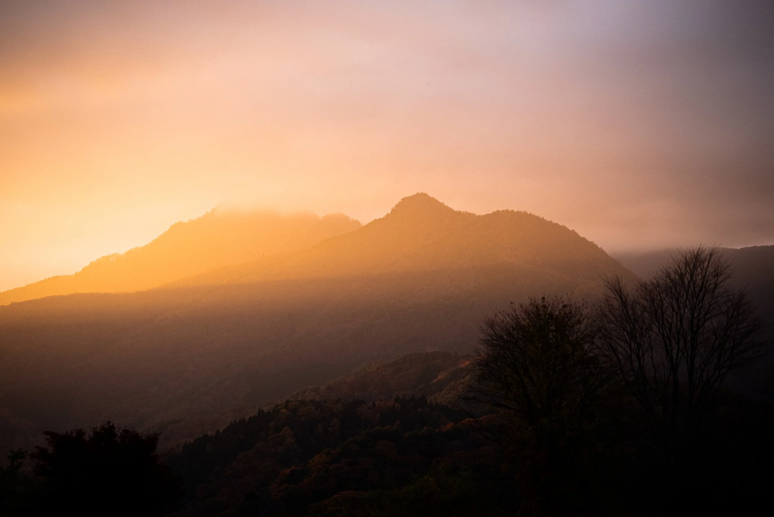 Paysage de montagnes avec un ciel en dégradé de couleurs chaudes, arbres en silhouette au premier plan.