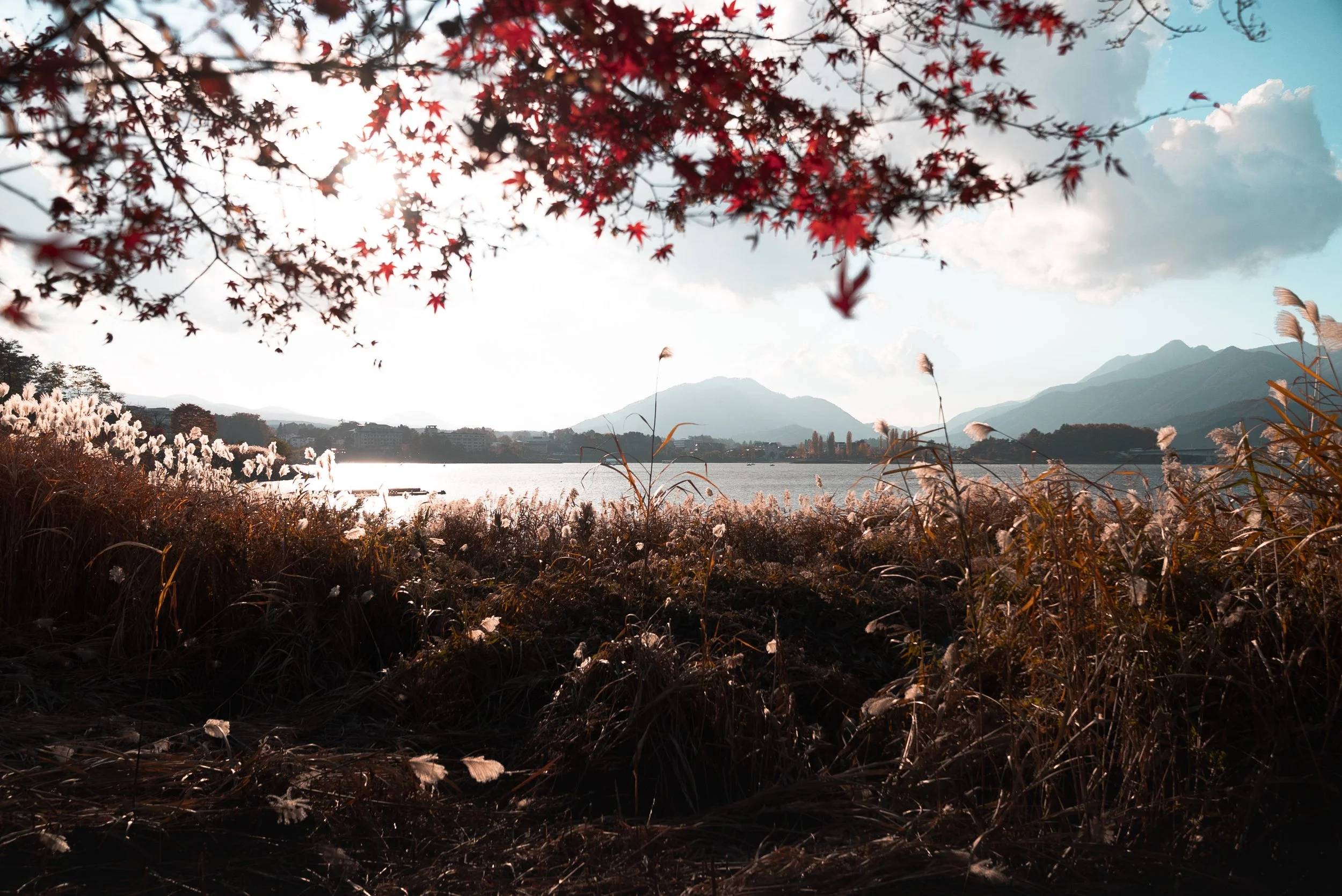 Rangements automne avec des feuilles rouges d'érable dans le ciel, un lac au centre, montagnes en arrière-plan, et des arbustes et herbes dans le premier plan.