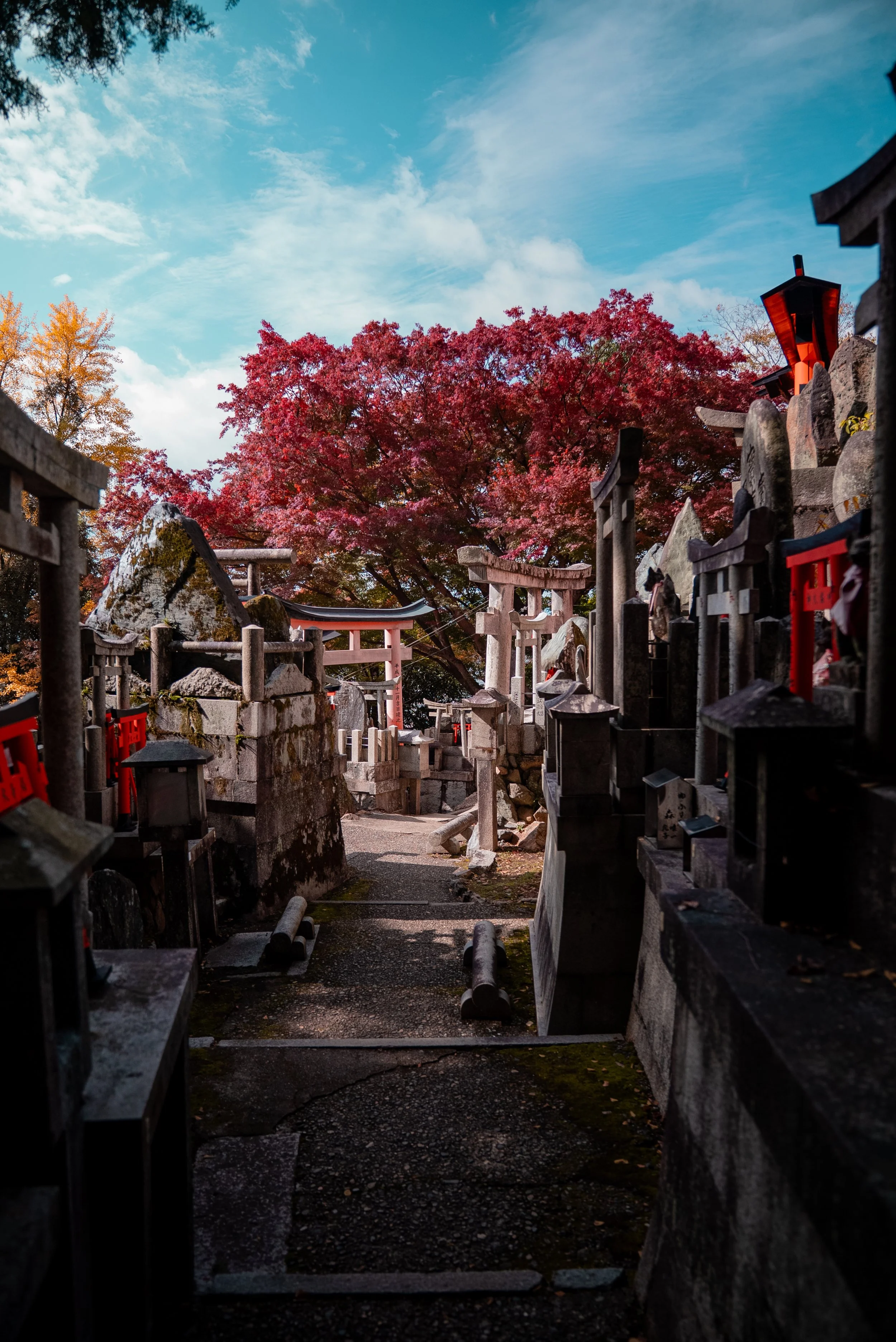 Sentier dans un temple japonais avec des torii en pierre et des lanternes, entouré d'arbres aux feuilles rouges, sous un ciel bleu avec quelques nuages.