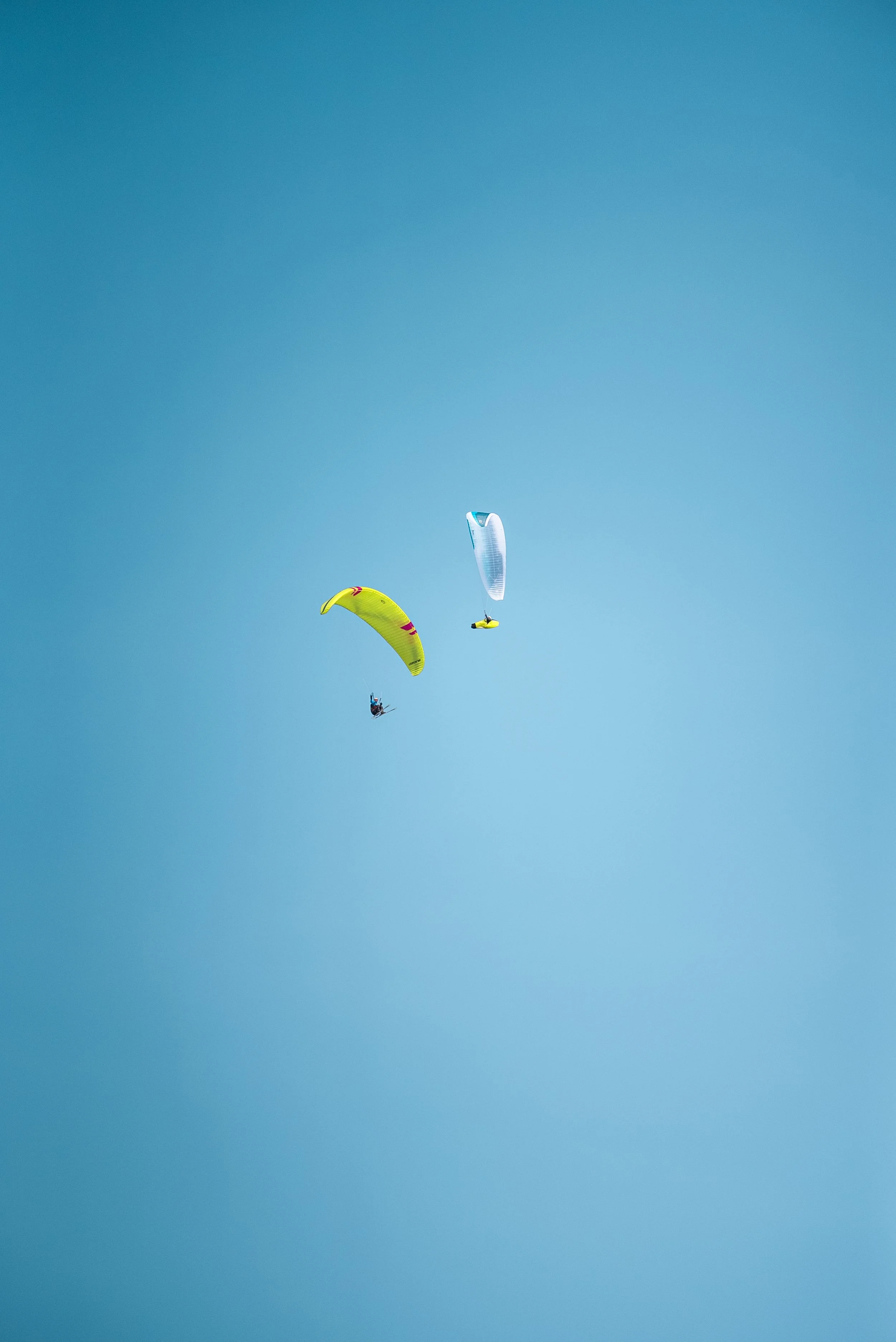 Testivol de Pelvoux 2026 - Léo THOMAS - 43.JPG