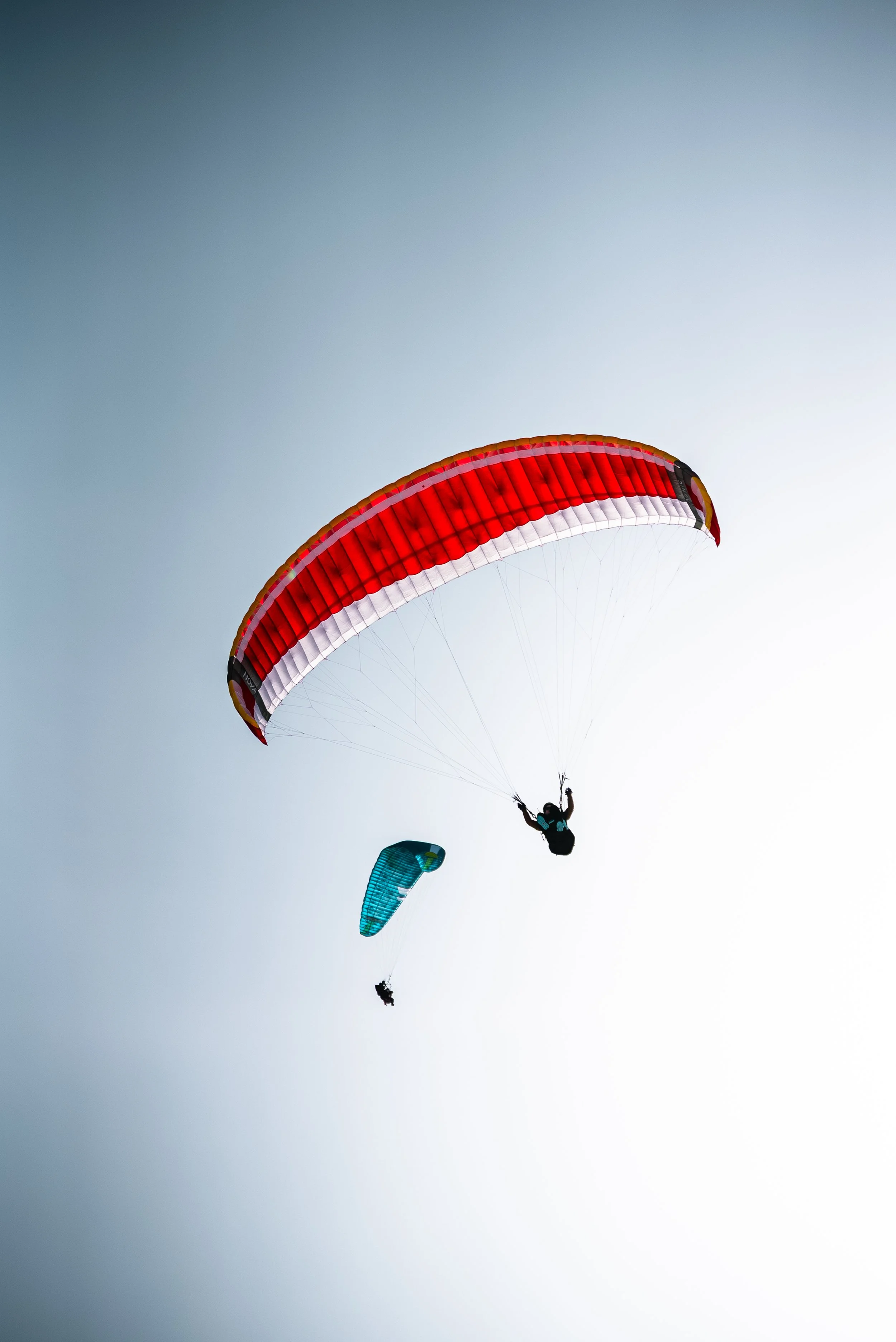 Testivol de Pelvoux 2026 - Léo THOMAS - 221.JPG