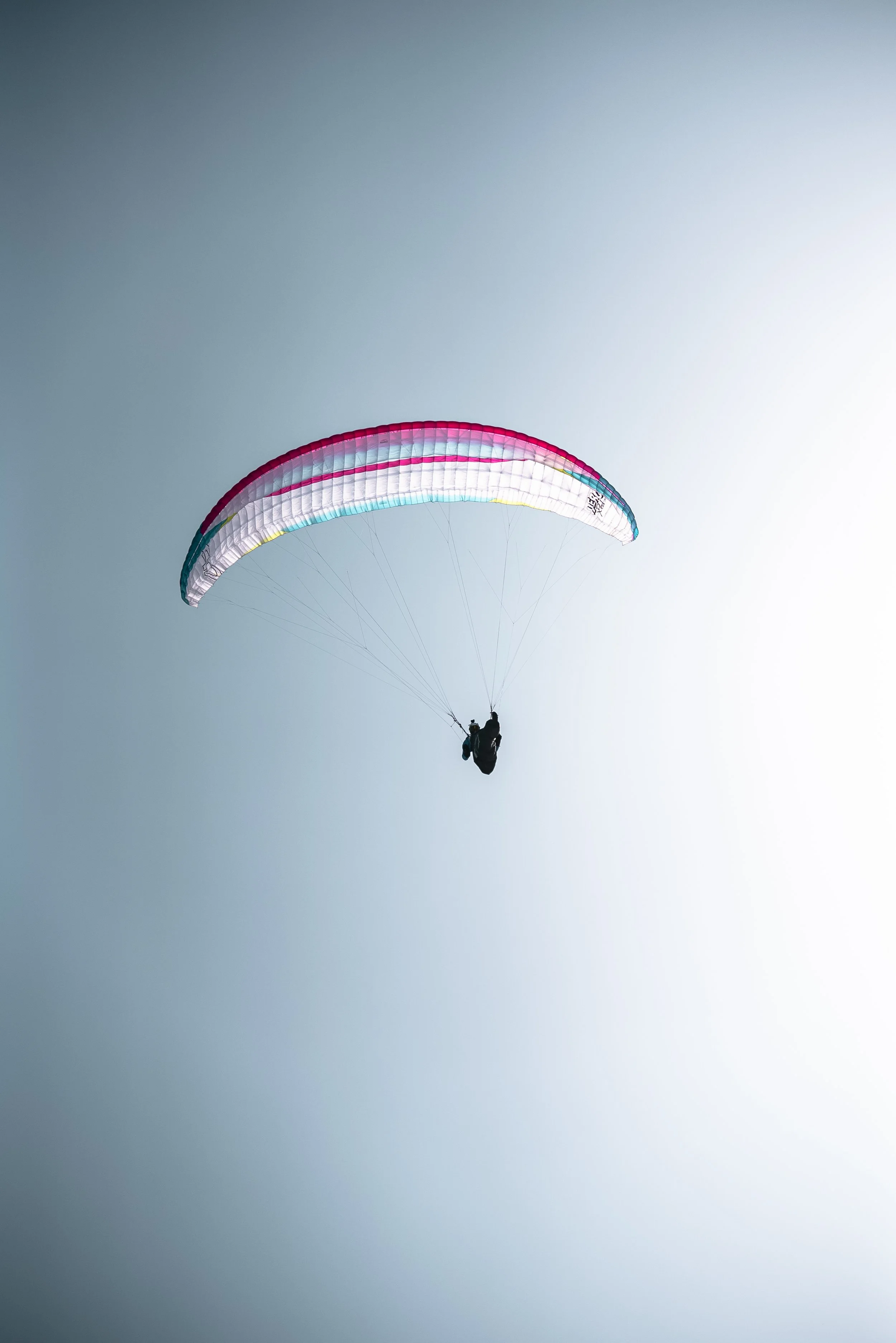 Testivol de Pelvoux 2026 - Léo THOMAS - 218.JPG