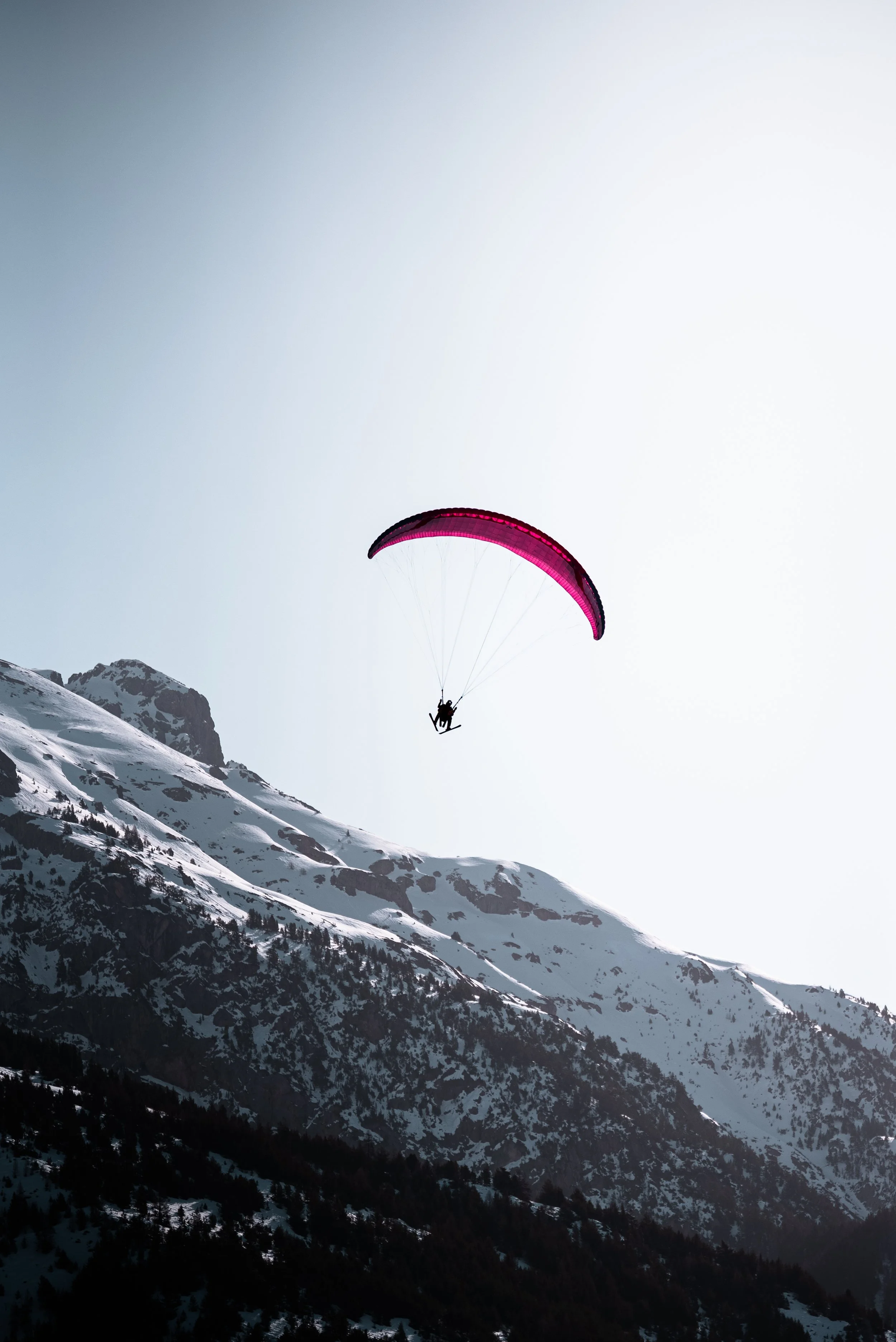 Testivol de Pelvoux 2026 - Léo THOMAS - 188.JPG