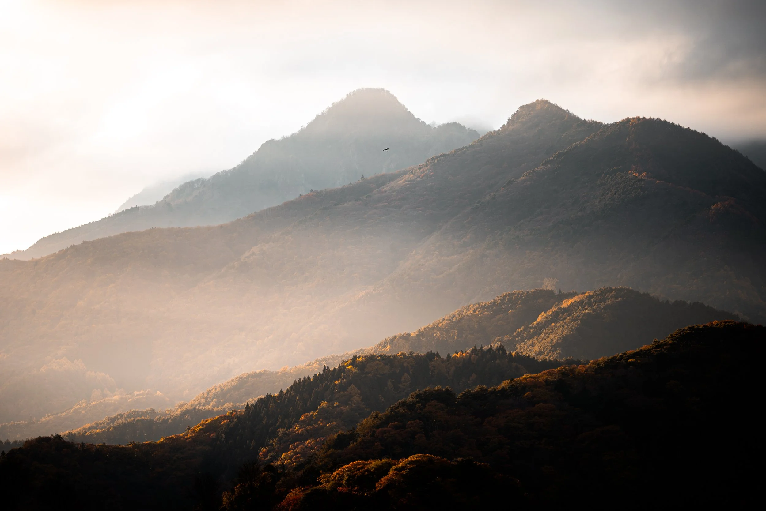 Montagnes recouvertes d'arbres en automne, avec une lumière douce et des nuages dans le ciel