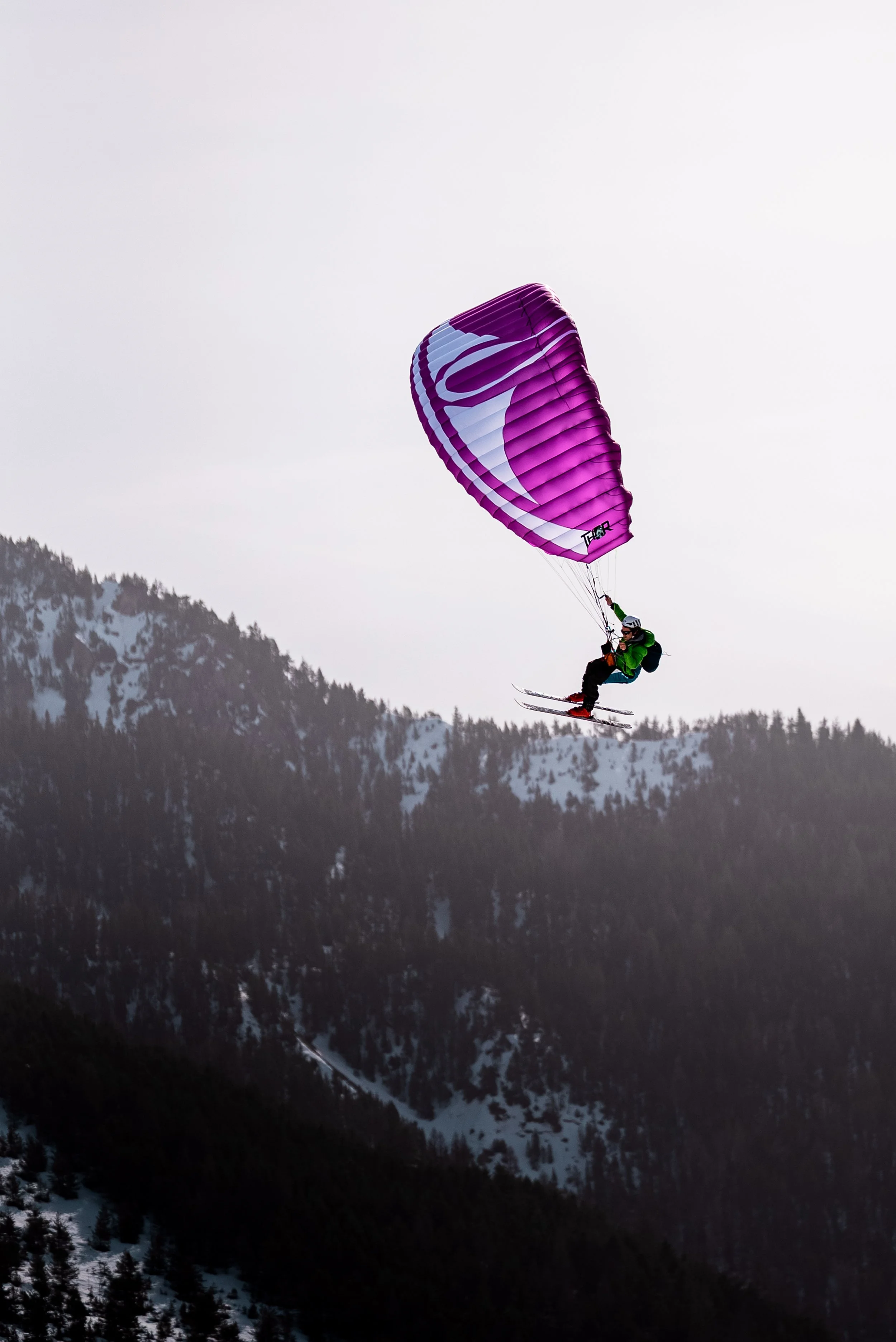 Testivol de Pelvoux 2026 - Léo THOMAS - 85.JPG