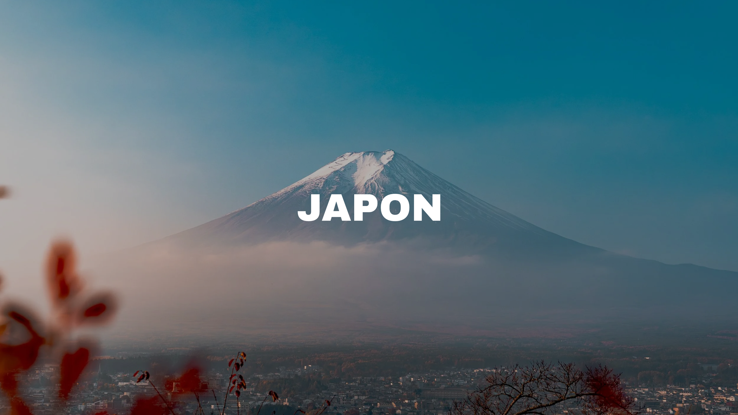 Photo de deuxPhotos du Mont Fuji, photo de voyage, photo du Japon - Léo THOMAS | Vidéaste Lyon | leofilms.fr