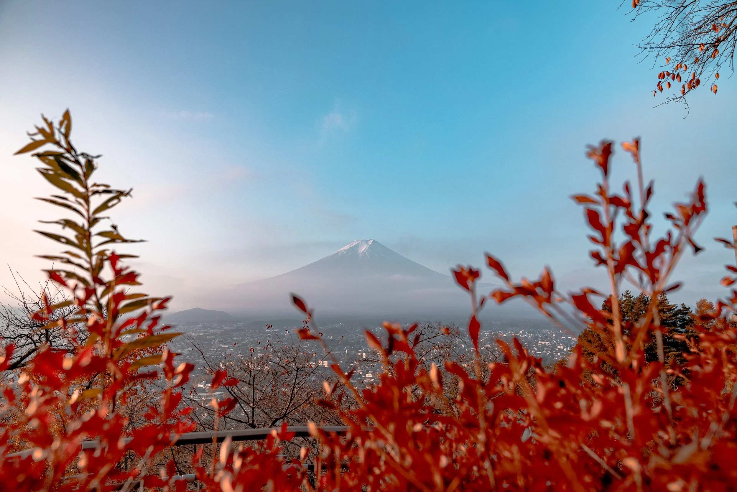 Vue du mont Fuji avec des feuillages rouges au premier plan, ciel clair et montagne enneigée au sommet.