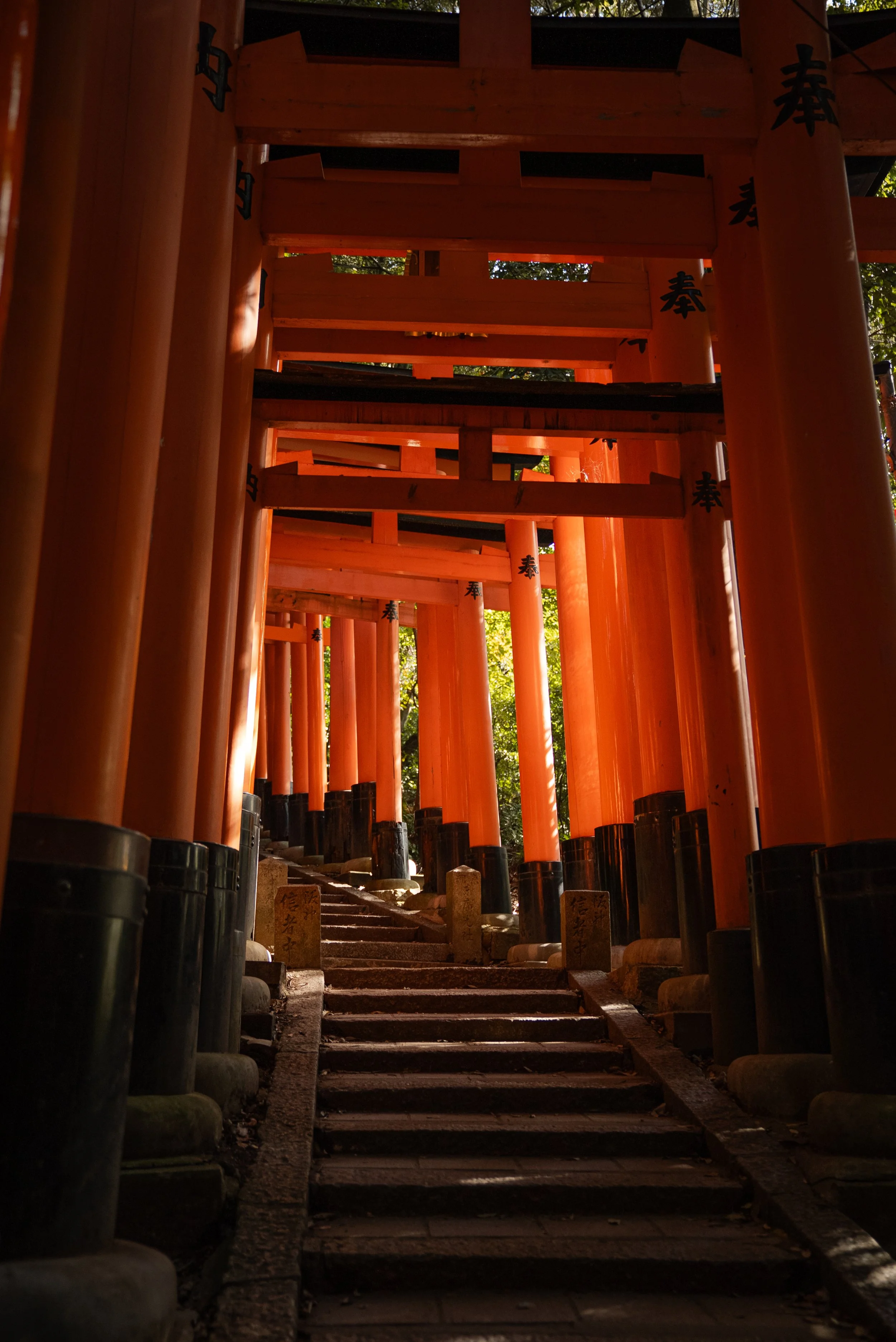 Une allée de plusieurs torii rouges japonais, créant un tunnel visuel, avec un escalier en pierre au centre, dans un environnement naturel ensoleillé.