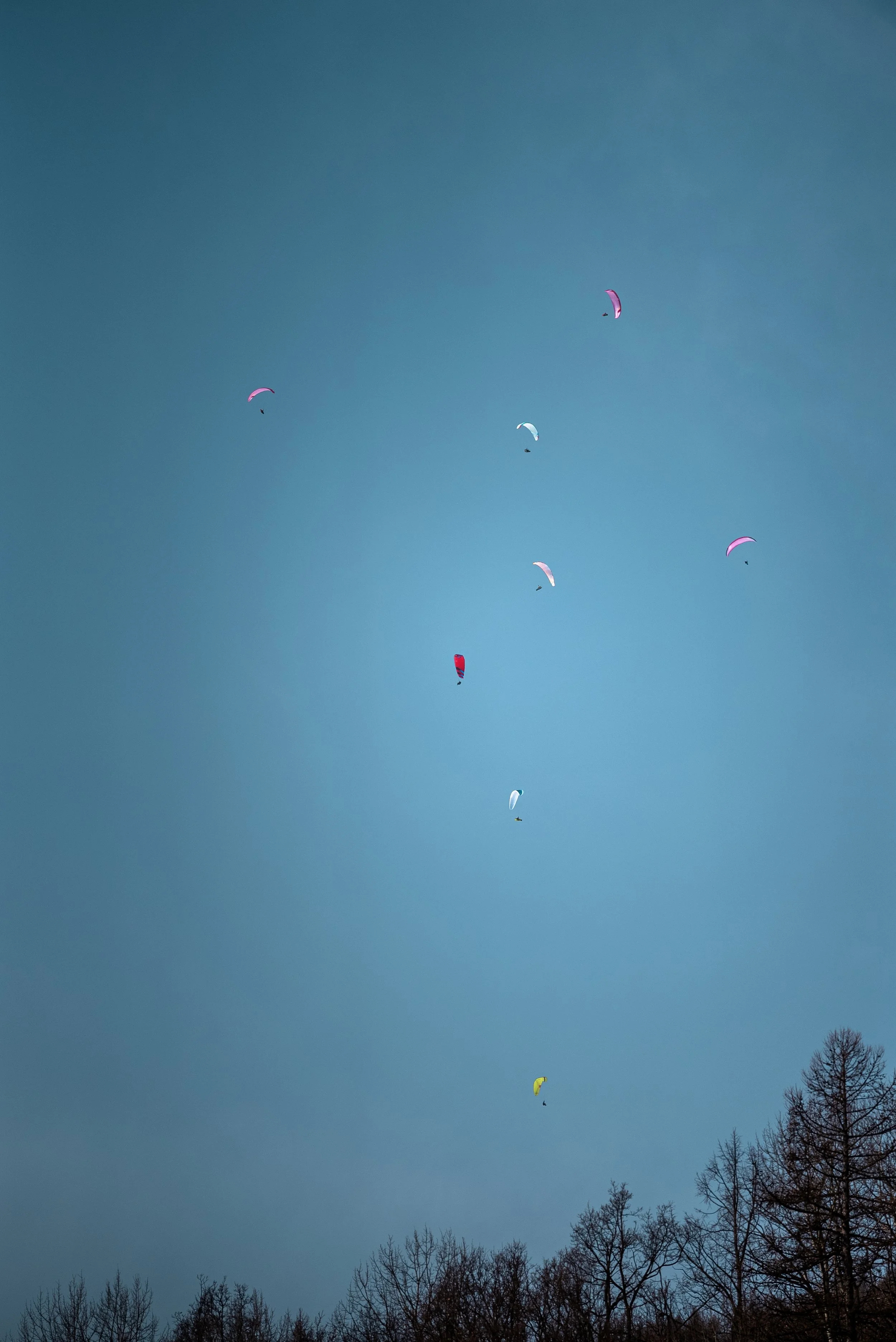 Testivol de Pelvoux 2026 - Léo THOMAS - 27.JPG