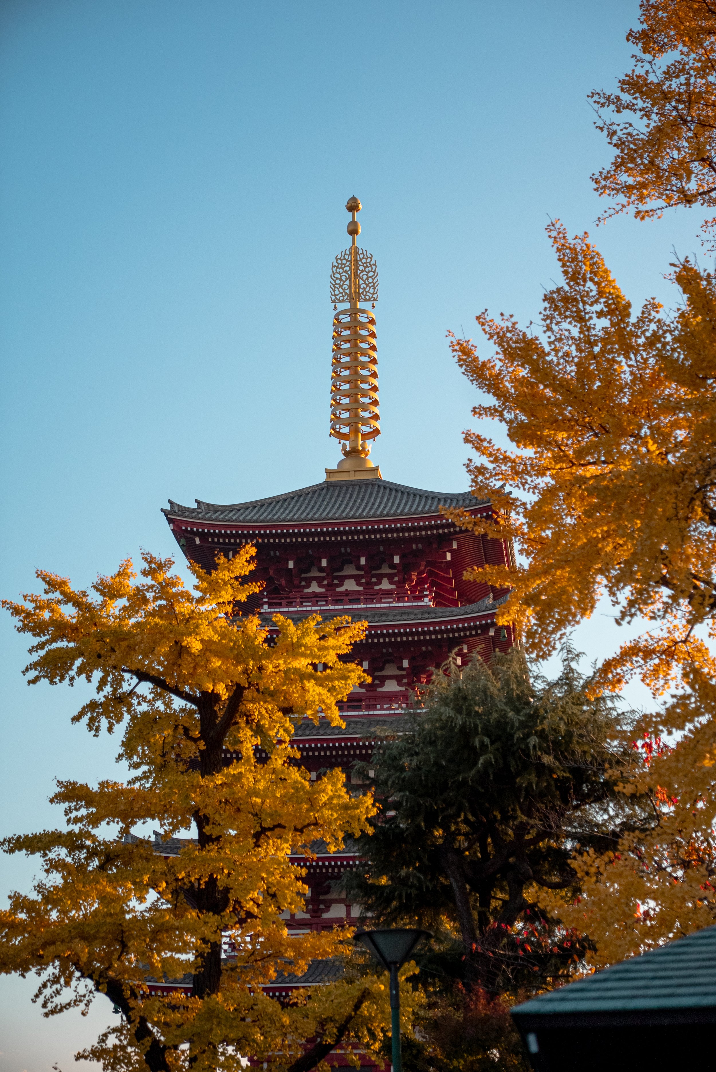 Un temple japonais traditionnel avec un toit en tuiles, entouré d'arbres aux feuilles dorées d'automne, sous un ciel clair. Un haut clocher doré orne le temple.
