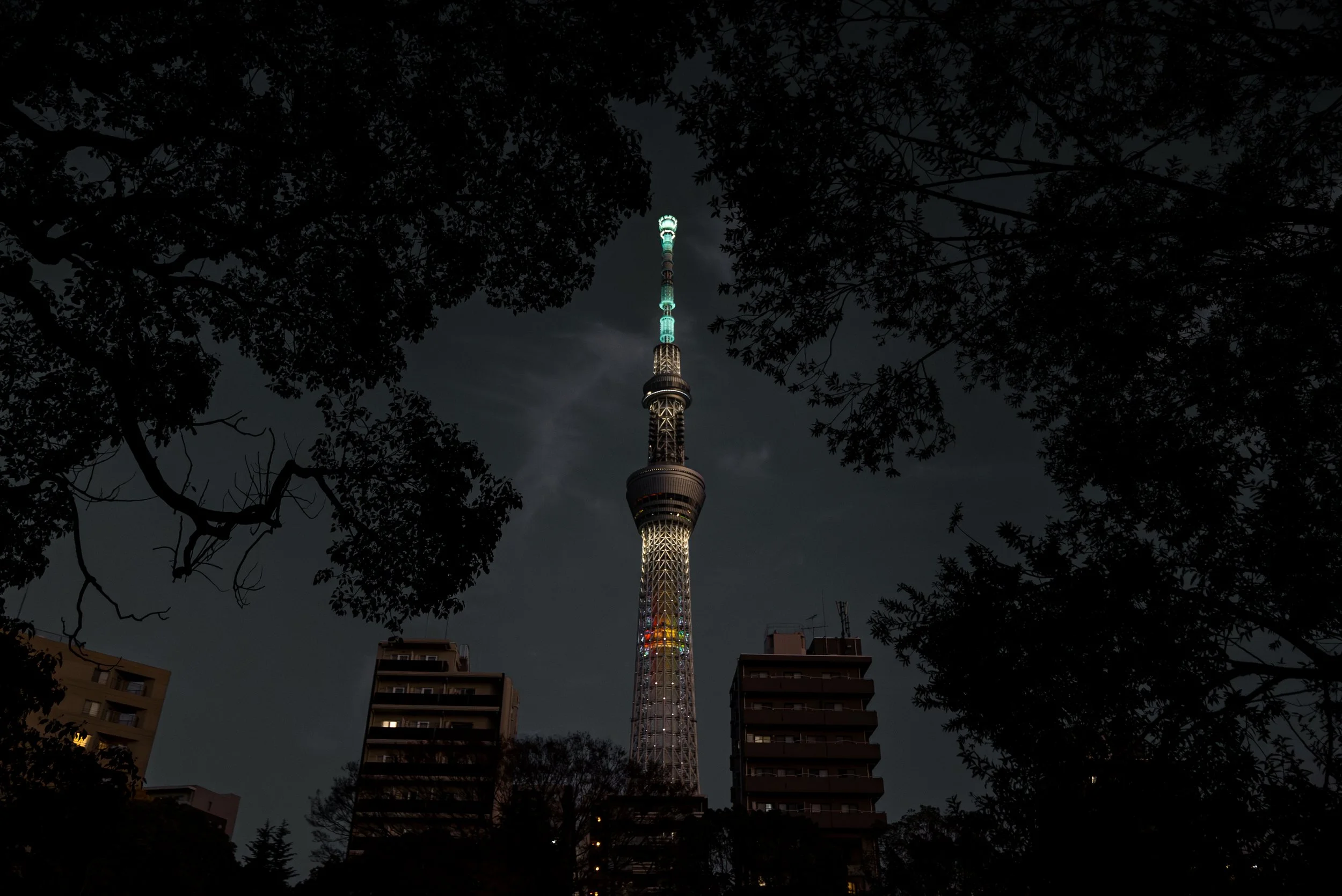 Tour de Tokyo illuminée la nuit, encadrée par des arbres et des bâtiments.