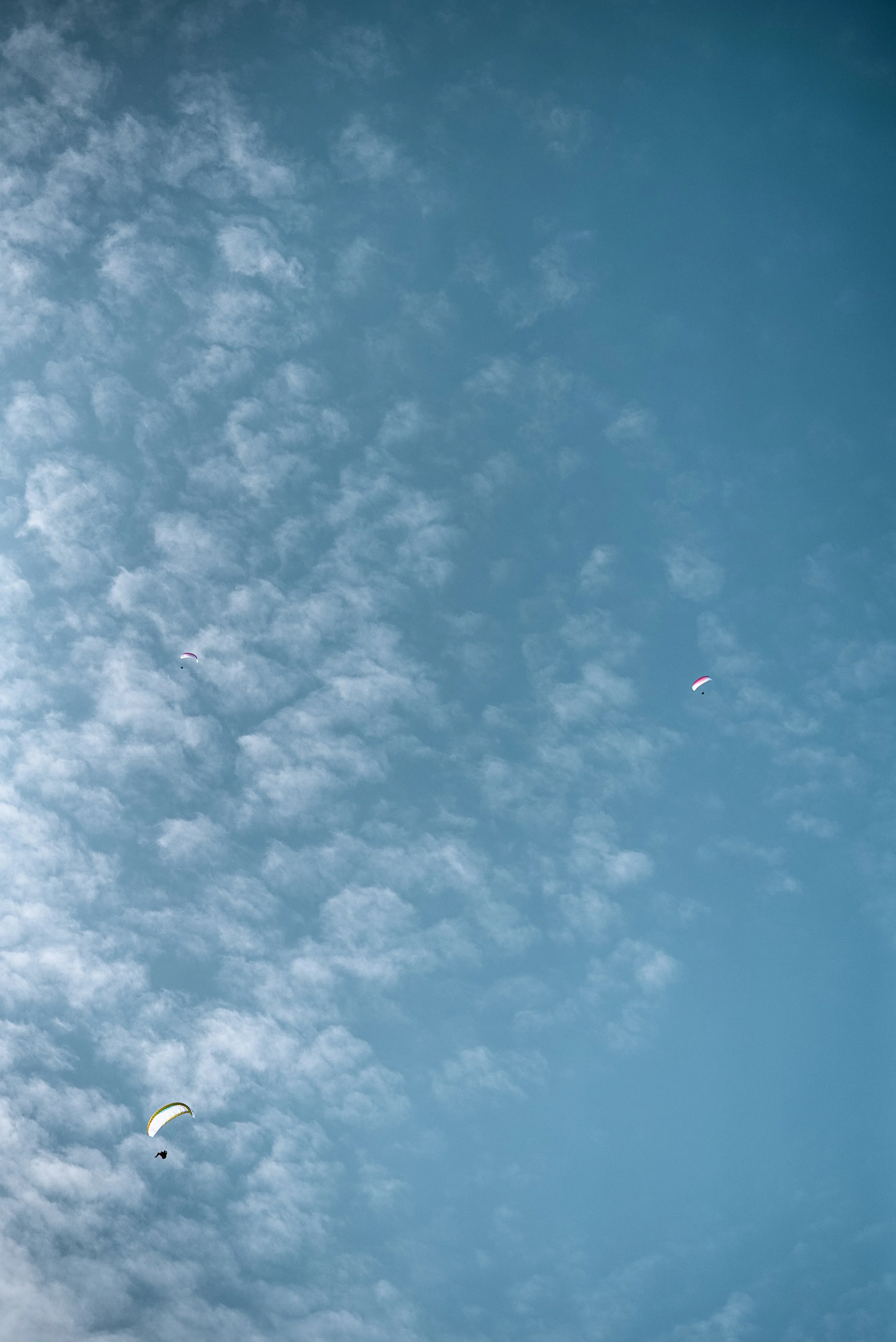 Testivol de Pelvoux 2026 - Léo THOMAS - 232.JPG