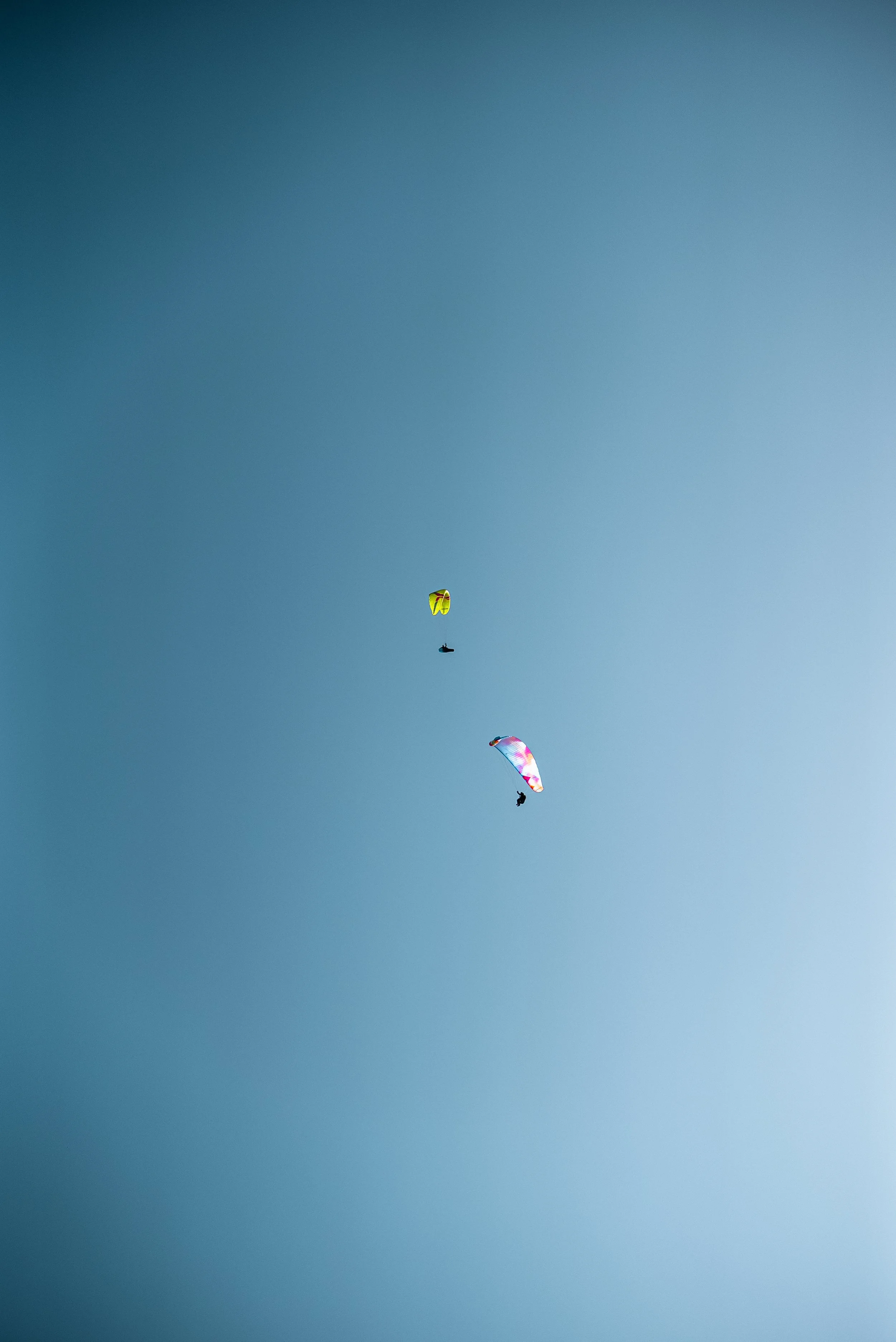 Testivol de Pelvoux 2026 - Léo THOMAS - 198.JPG