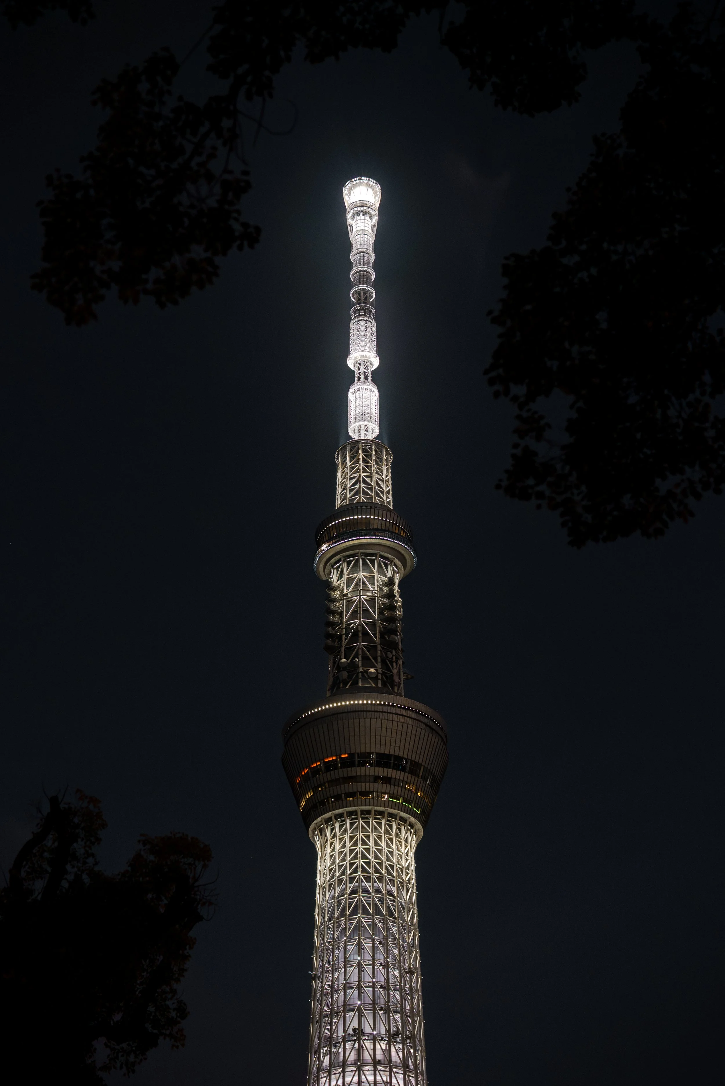 Tour de Tokyo illuminée la nuit, vue en contre-plongée entourée d'arbres