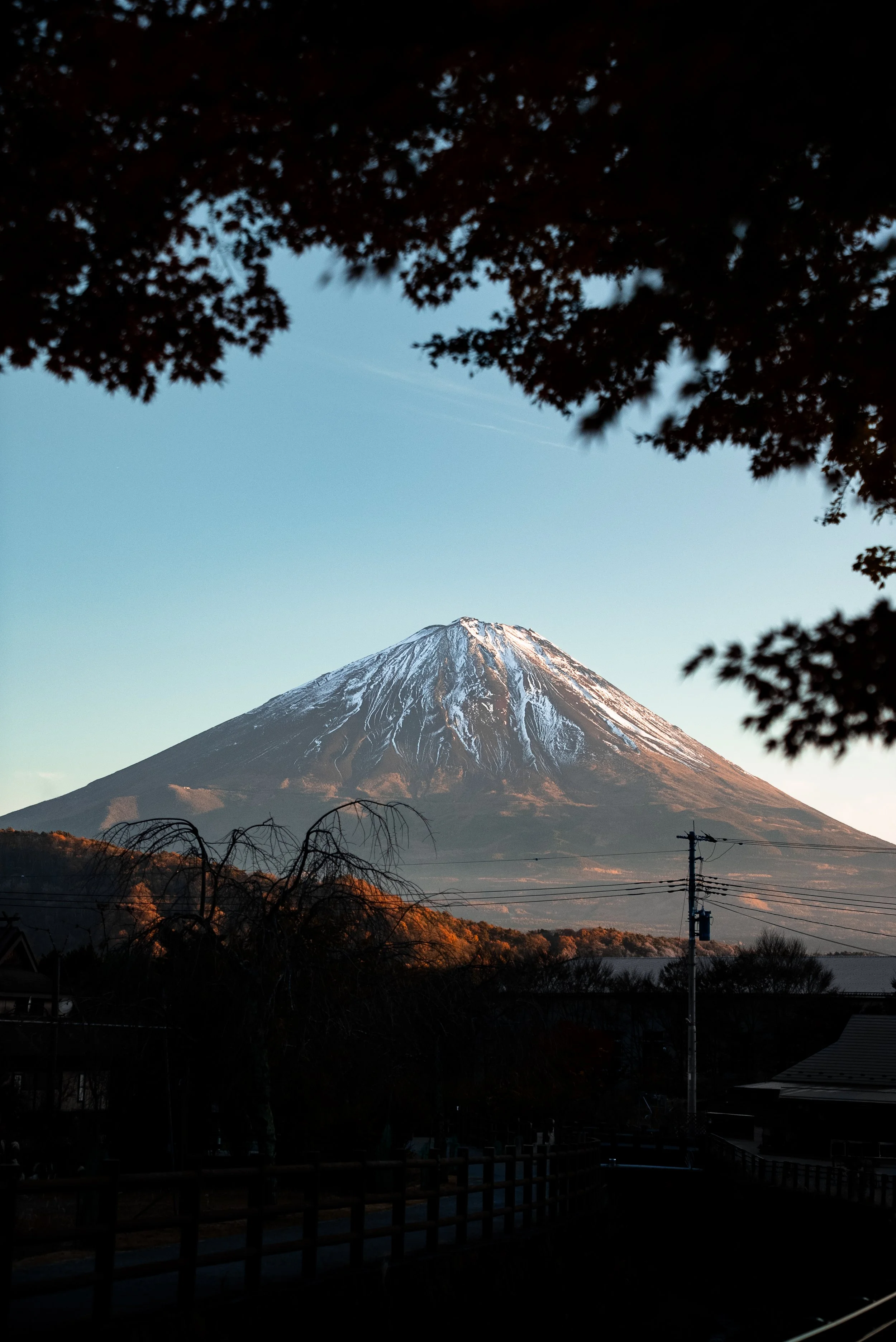 Mont Fuji avec neige au sommet, vue depuis une zone résidentielle avec des arbres en premier plan.