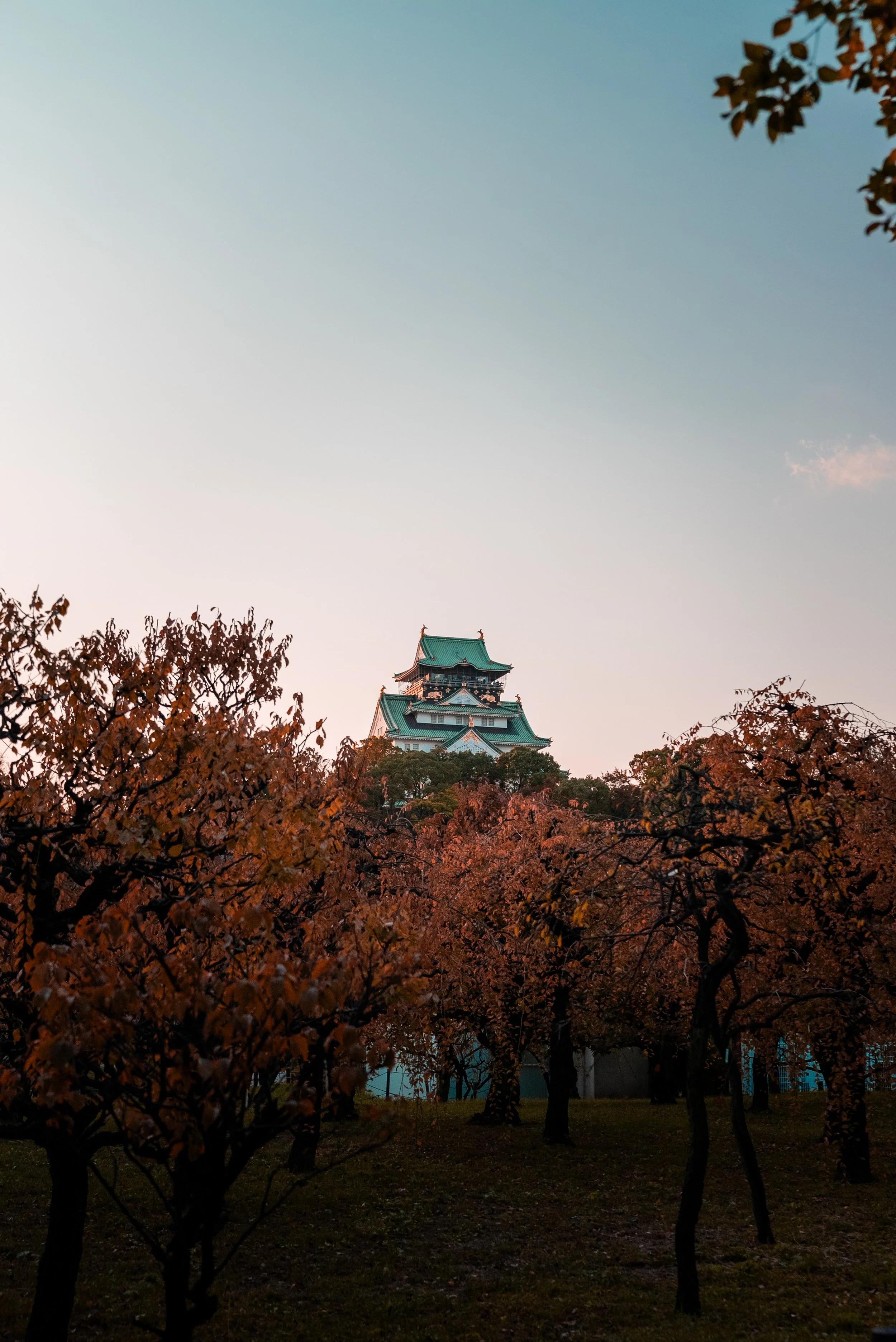 Une tour de style japonais au sommet d'une colline, entourée d'arbres en feuillage automnal dans un parc, sous un ciel clair au crépuscule.
