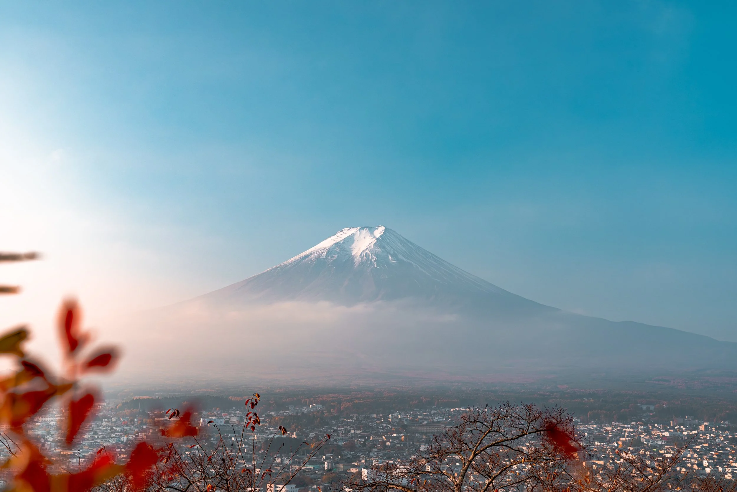 Mont Fuji enneigé vu depuis une ville, avec des feuilles floues au premier plan et un ciel bleu clair.
