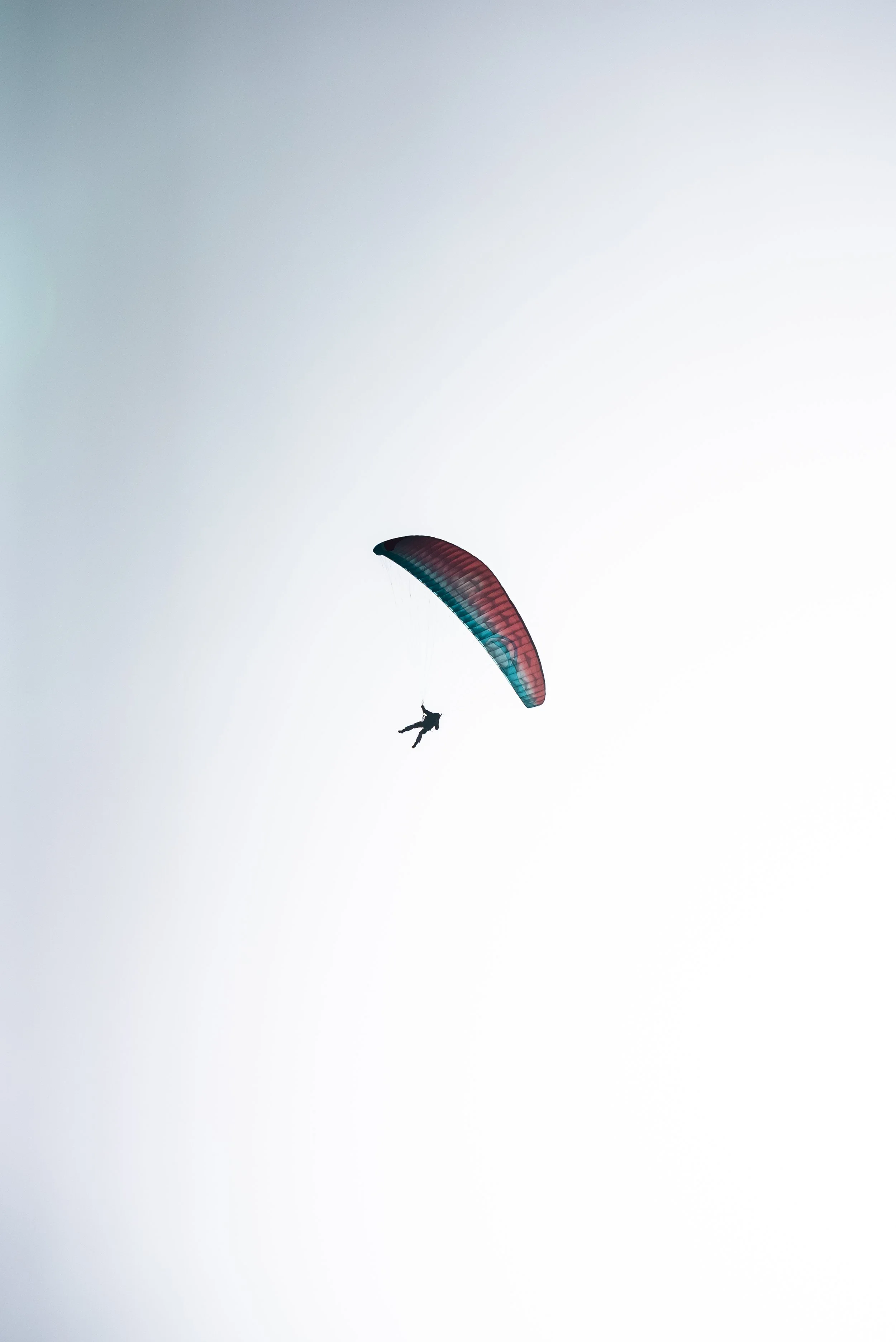 Testivol de Pelvoux 2026 - Léo THOMAS - 147.JPG