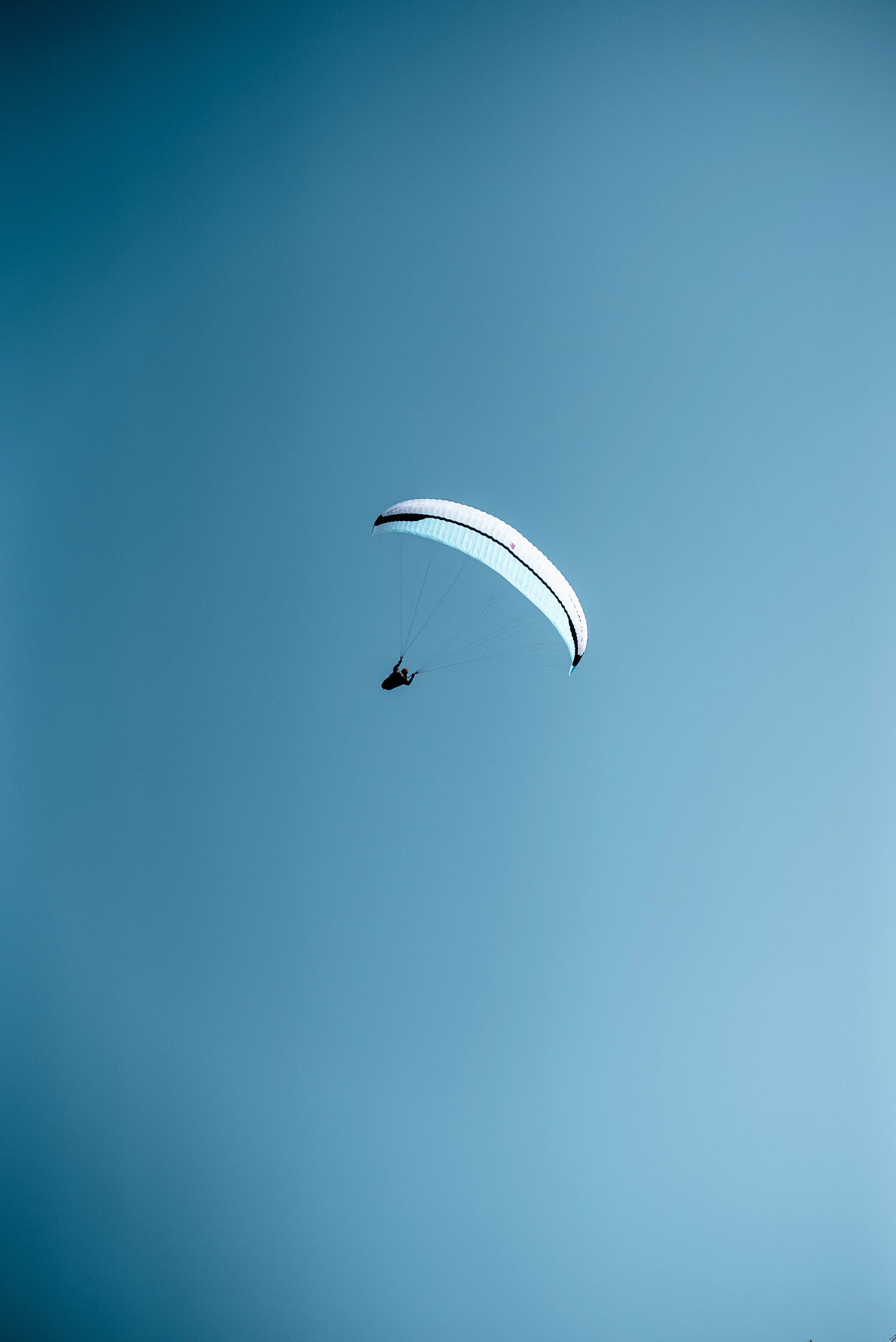 Testivol de Pelvoux 2026 - Léo THOMAS - 194.JPG