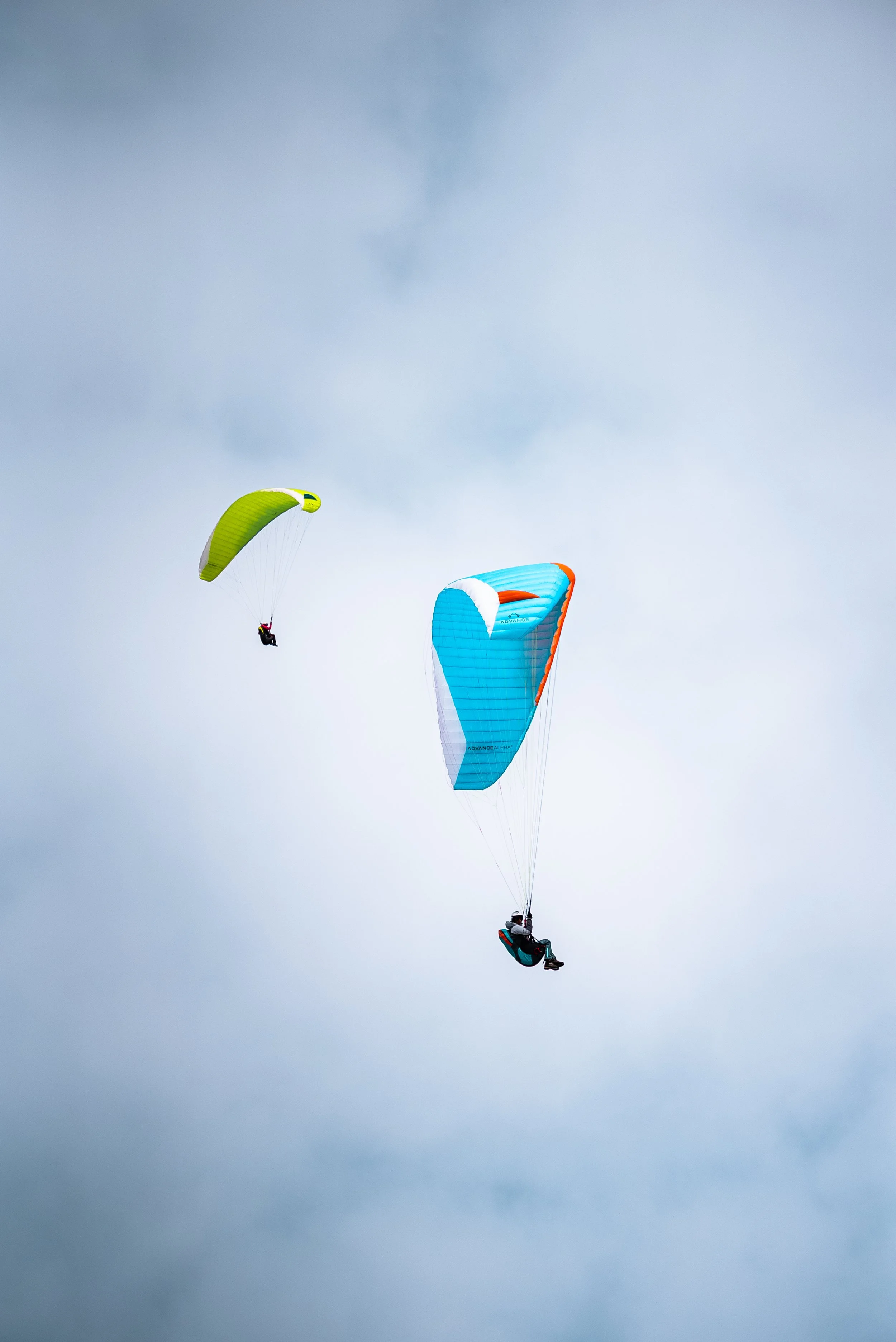 Testivol de Pelvoux 2026 - Léo THOMAS - 281.JPG