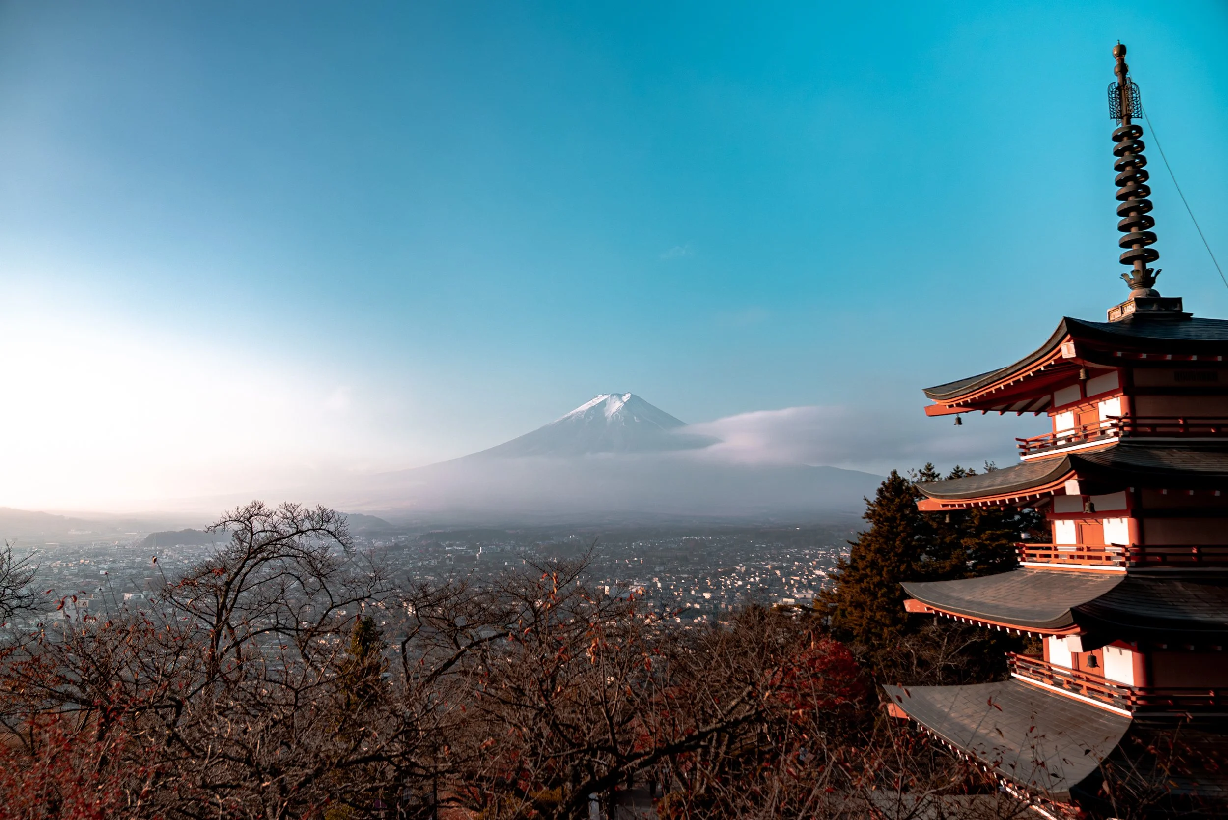 Vue du mont Fuji avec un temple japonais traditionnel en premier plan et des arbres sans feuilles.