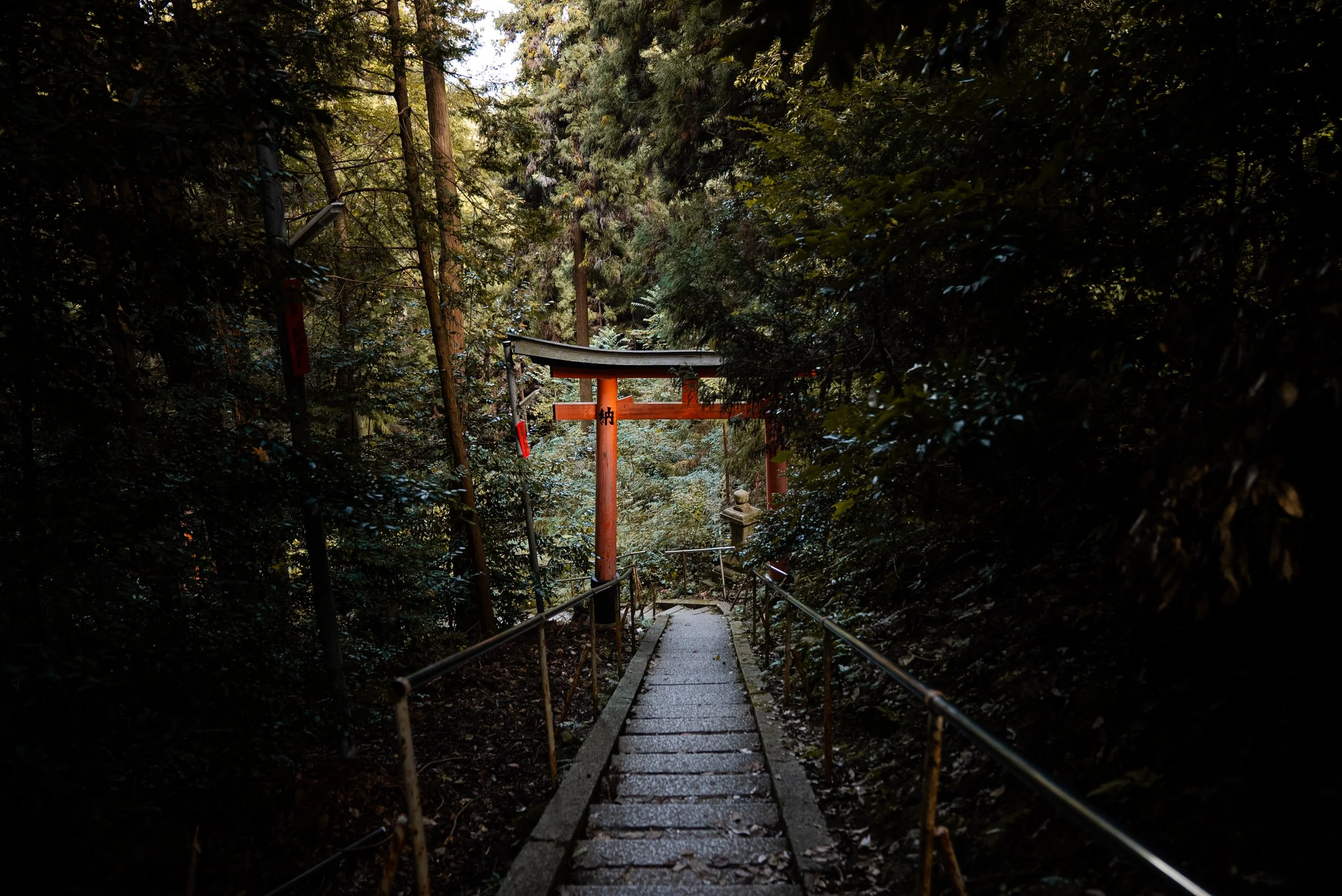 Sentier en pierre menant à une torii rouge dans une forêt dense, avec des arbres grands et épais, ambiance sombre et mystérieuse.