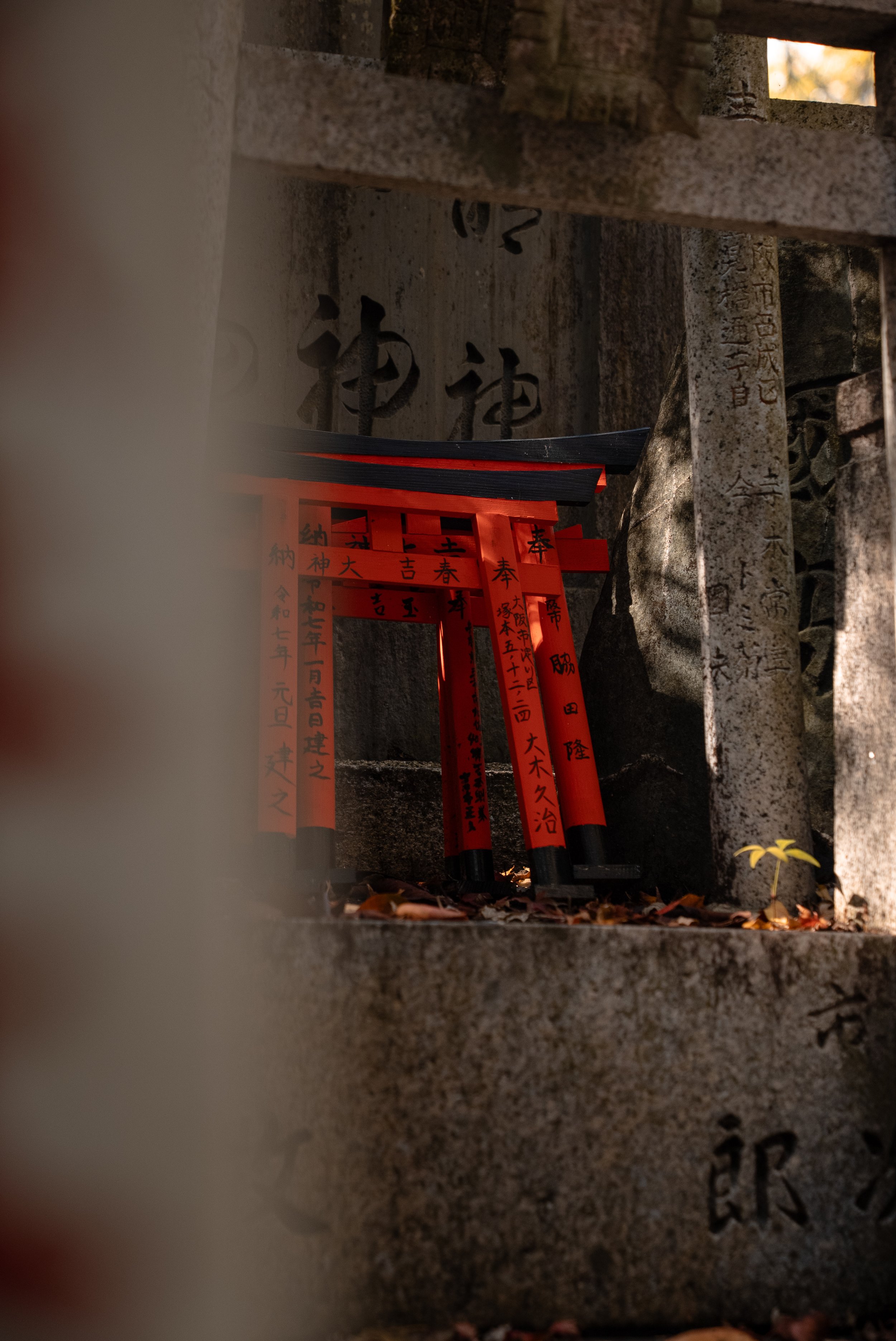 Petite porte torii rouge dans un site religieux japonais entouré de pierres gravées avec des inscriptions en japonais.