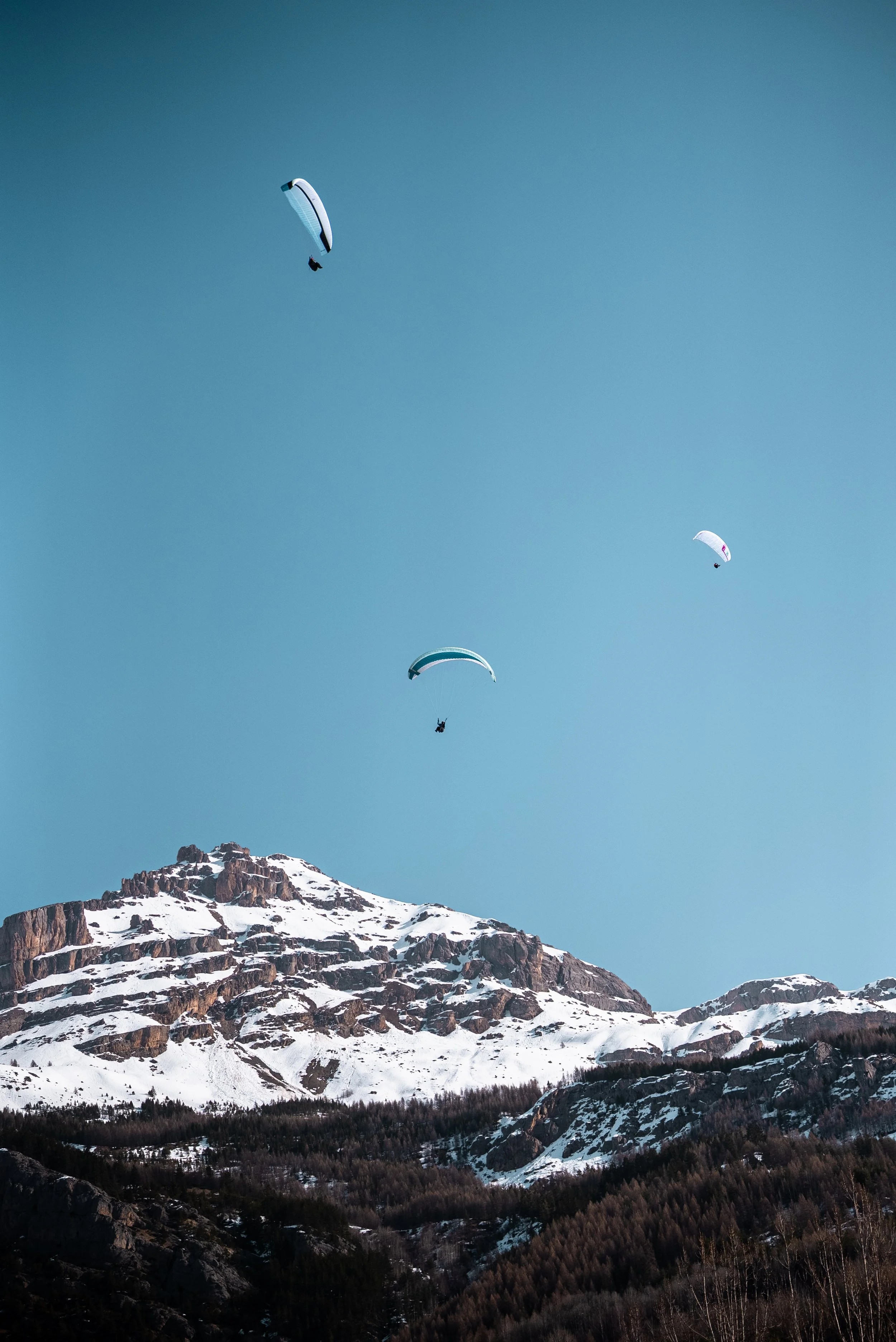 Testivol de Pelvoux 2026 - Léo THOMAS - 190.JPG