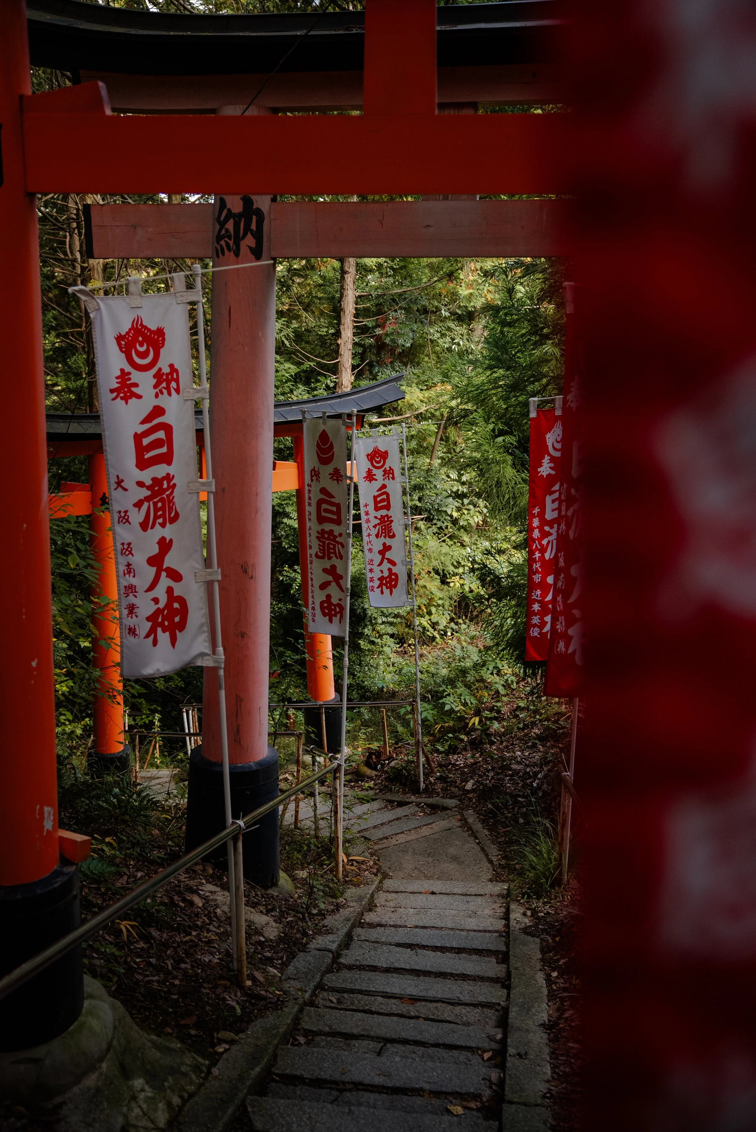 Chemin étroit avec des torii orange et des drapeaux japonais rouges et blancs dans un environnement forestier.