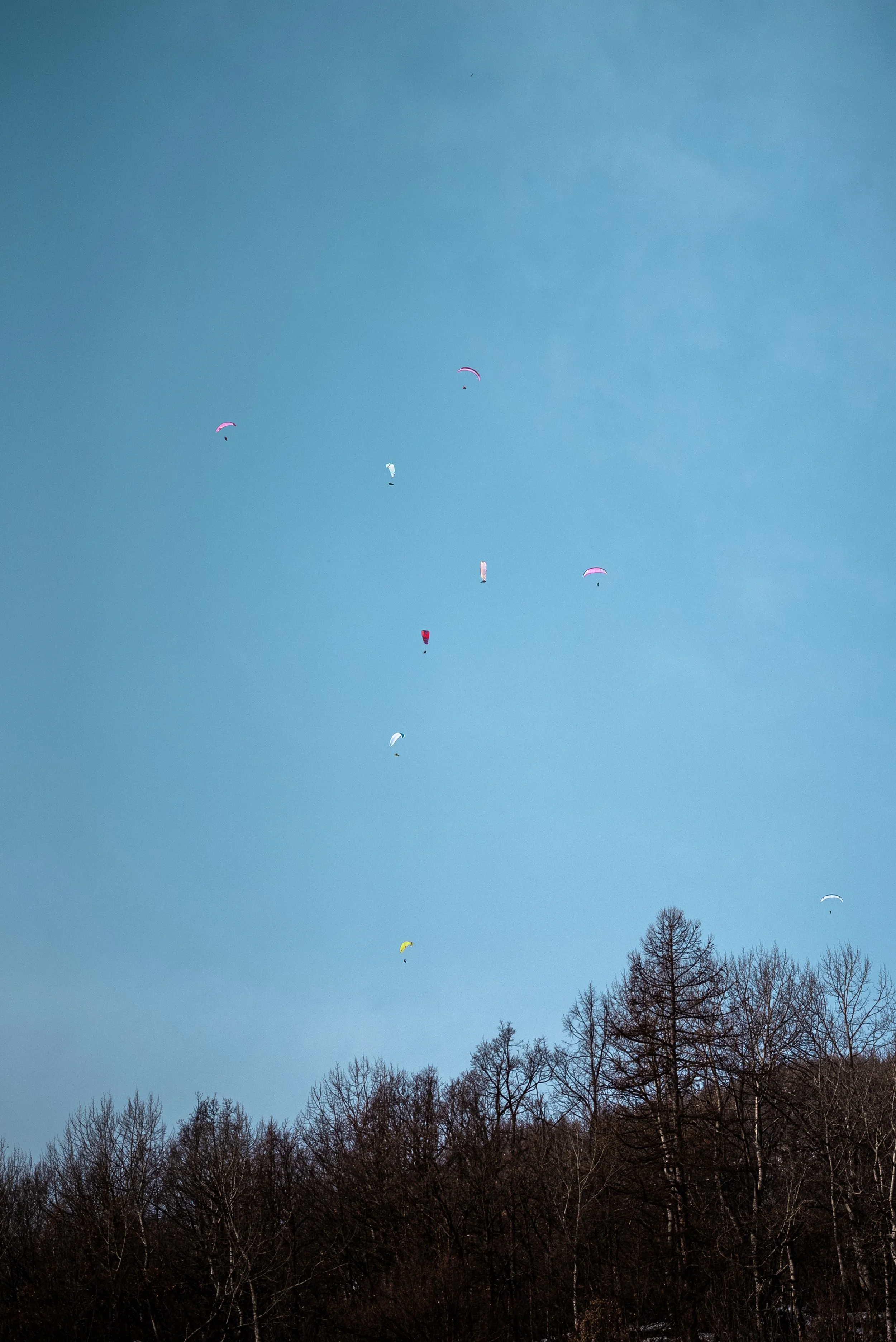 Testivol de Pelvoux 2026 - Léo THOMAS - 26.JPG