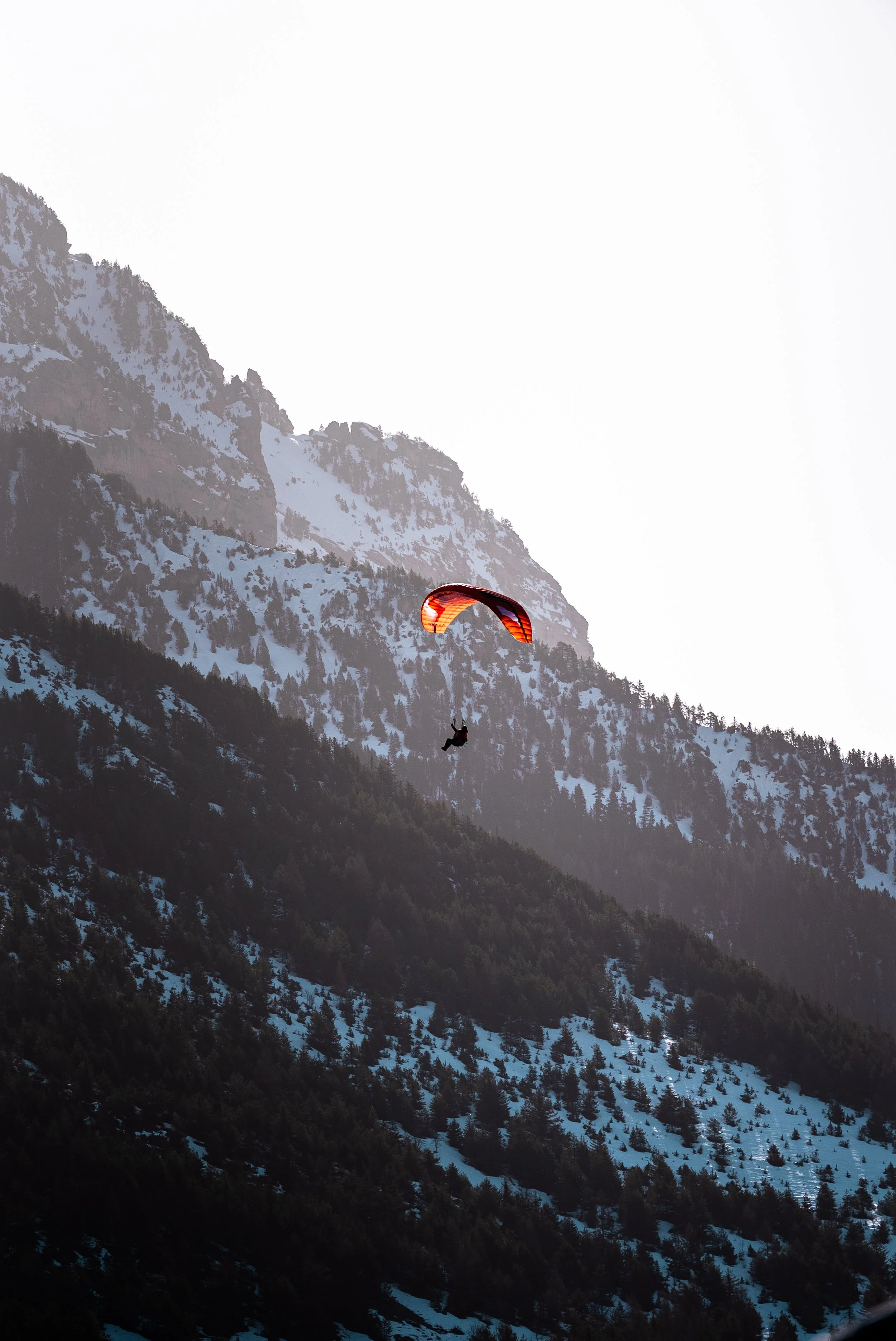 Testivol de Pelvoux 2026 - Léo THOMAS - 118.JPG