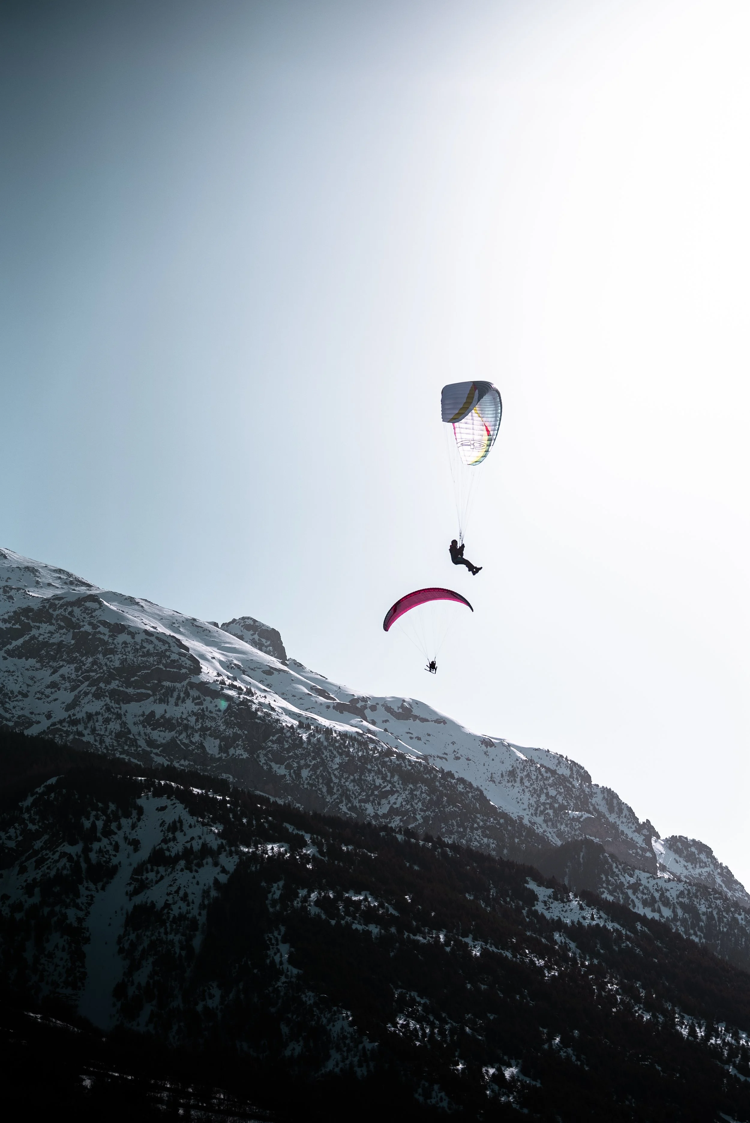 Testivol de Pelvoux 2026 - Léo THOMAS - 187.JPG