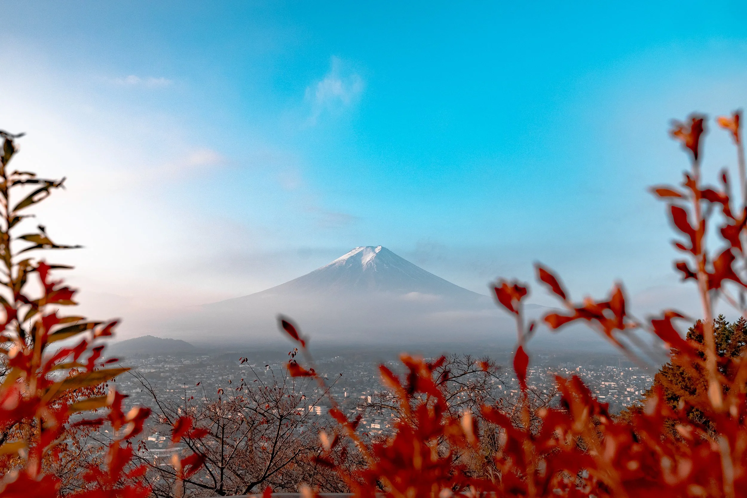 Mont Fuji vu à travers des feuilles d'automne, ciel bleu et nuages légers en arrière-plan.