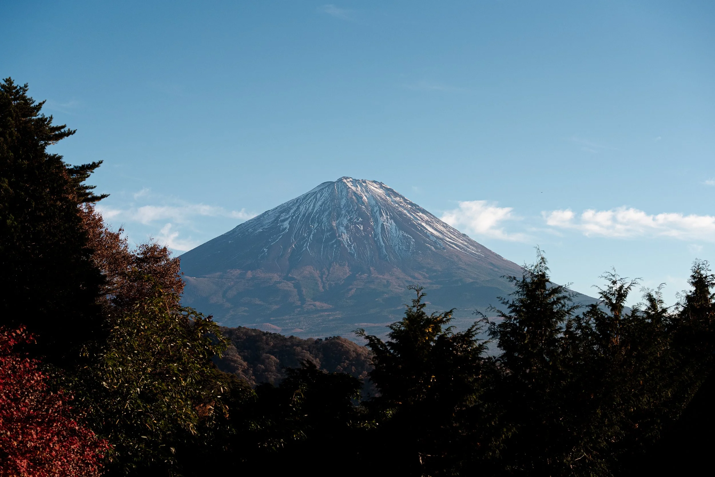 Montagne avec sommet enneigé, entourée d'arbres en premiers plans.