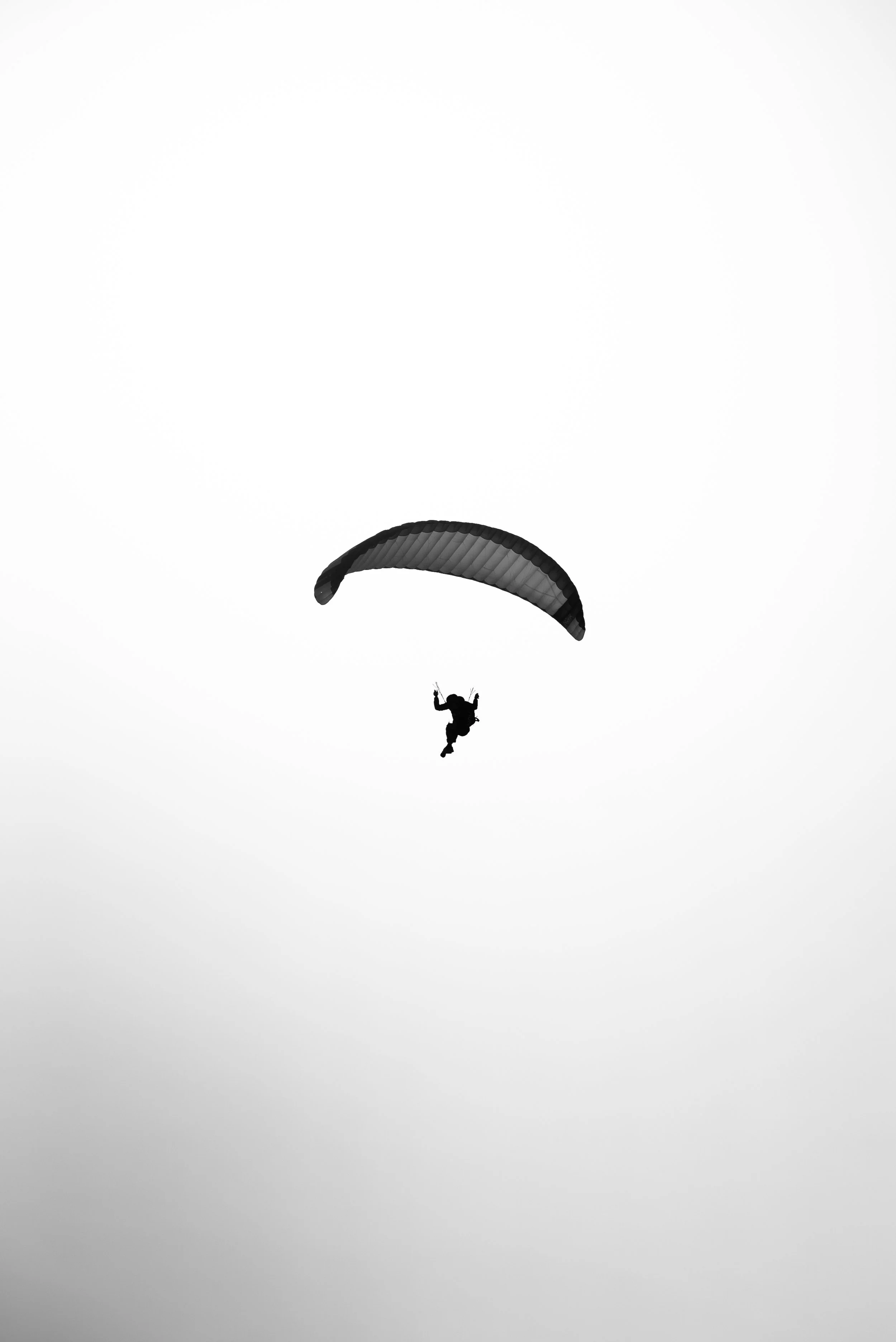 Testivol de Pelvoux 2026 - Léo THOMAS - 94.JPG